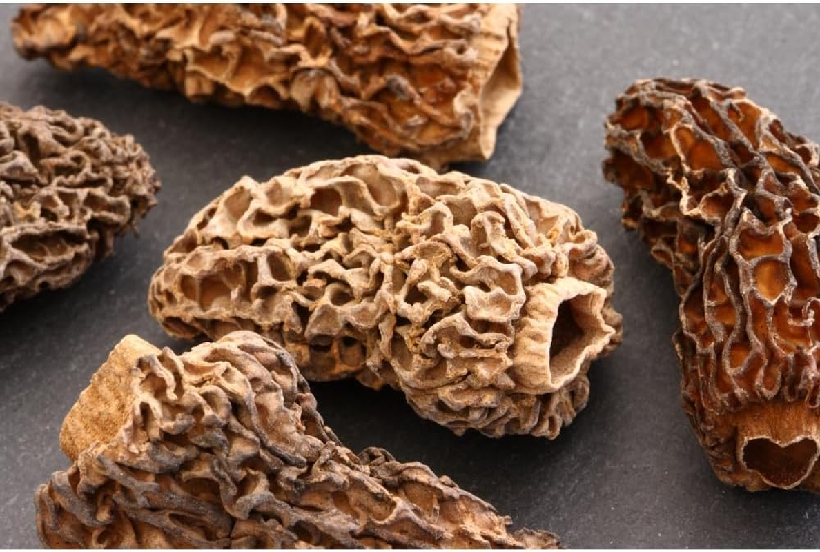Heng Fai Dried Morel Mushrooms | Premium Gourmet Food Ingredient for Sauces, Soups, and Fine Dishes | Rich, Nutty, and Earthy Flavour | Hand-Selected High-Quality Dried Morels | 20G Pack