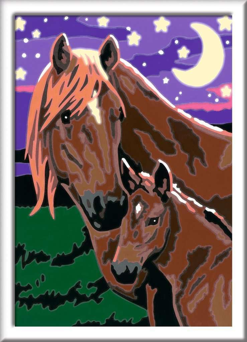 Pferde Malen Nach Zahlen Sonderserie E: Mit Leuchtfarbe! image number 1