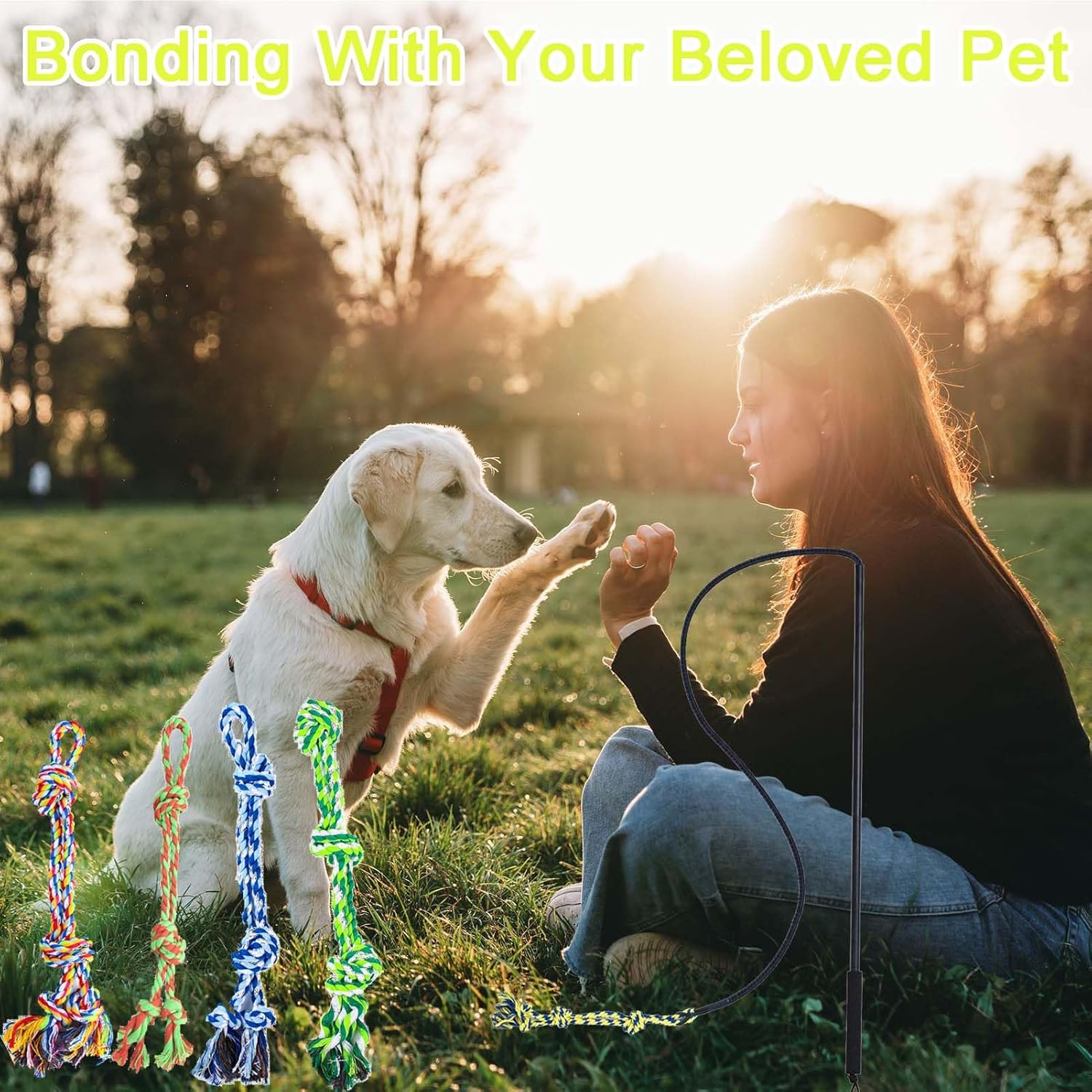 Flirt Pole for Dogs,Foldable Firt Pole,Dog Flirt Pole with 6 Chew Toy,Outdoor or Indoor Dog Rope Toy,Dog Tug of War Toy for Large,Medium,Small Dogs image number 2