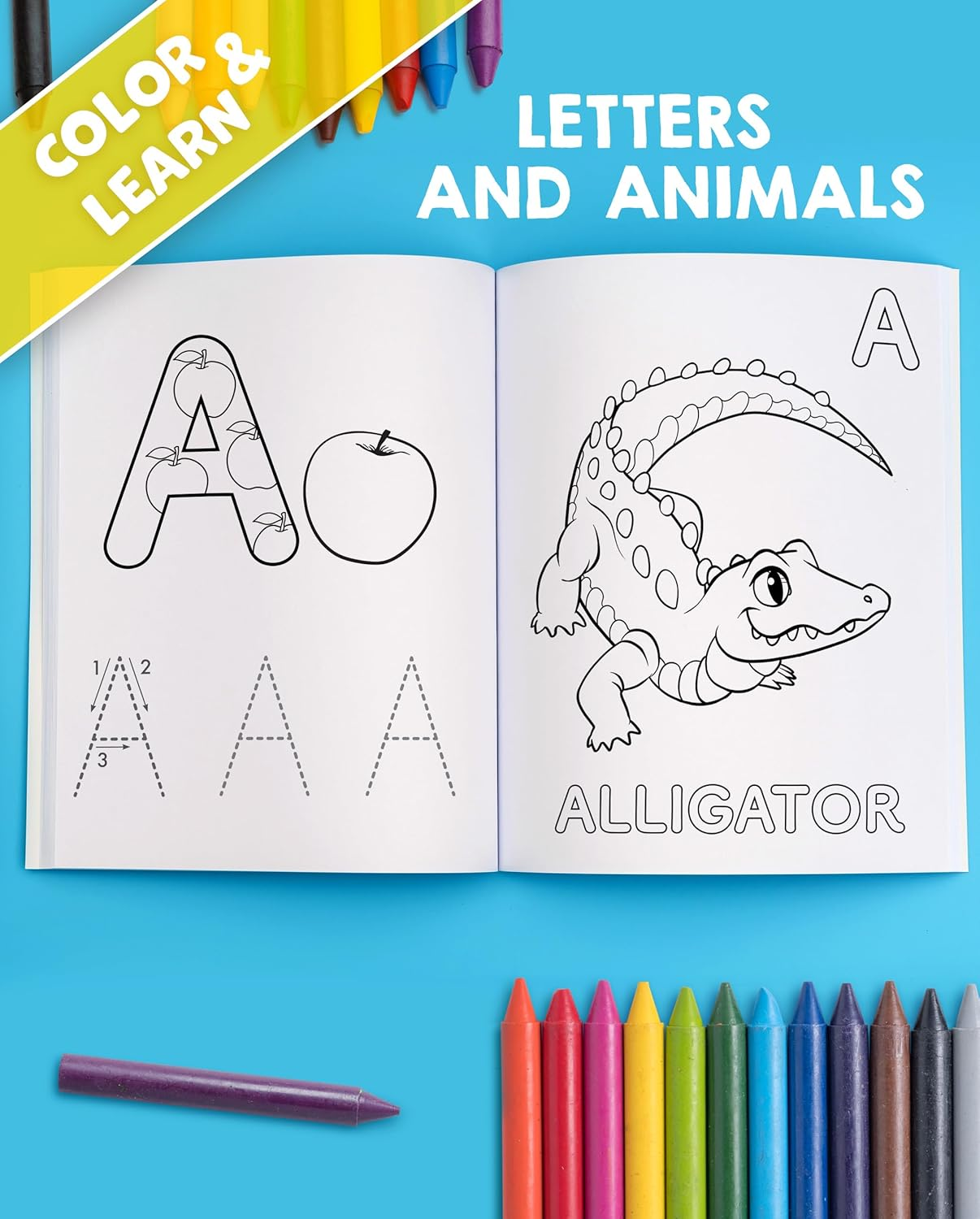 My Big Fun Coloring Book for Toddlers to Learn the Animals, Shapes, Colors, Numbers and Letters: Activity Workbook for Kids Ages 2-4 Years image number 3