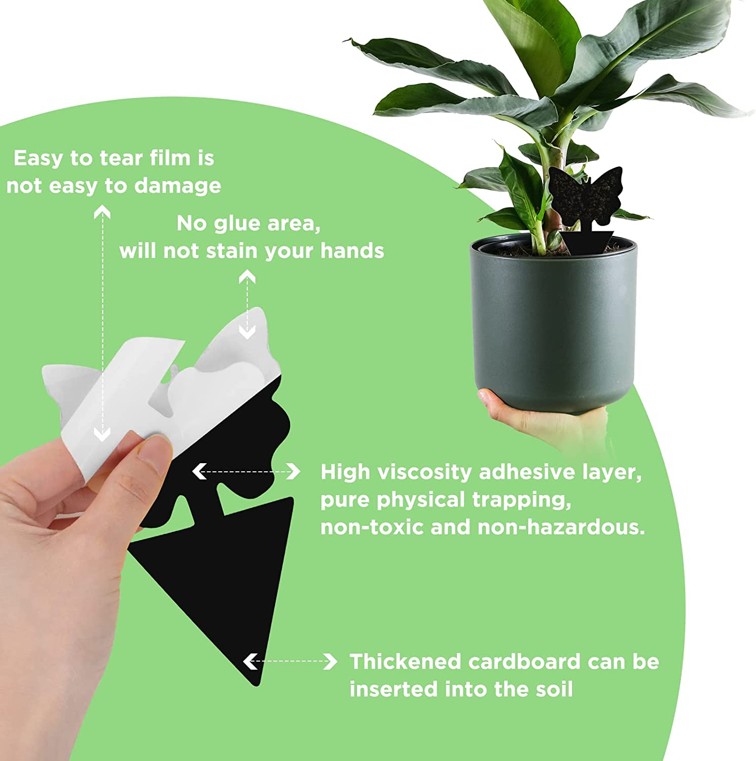 50 Pack Sticky Traps Fruit Fly Fungus Gnat Trap Killer, Joogee Yellow Dual Sided Gnat Trap, Disposable Insect Catcher Sticky Board,Non-Toxic and Odorless,For Mosquitoes, Houseplant, Garden image number 2