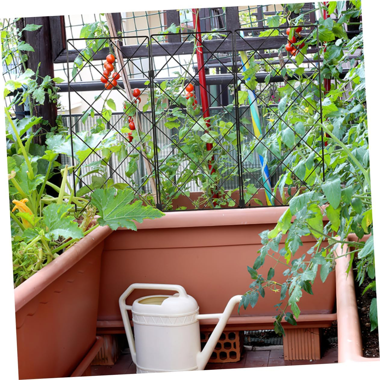 Gogogmee 2Pcs Gardening Support Bracket Iron Garden Trellis for Climbing Plants Tomatoes Cages for Garden Supplies Plant Trellis for Herb and Pot image number 3