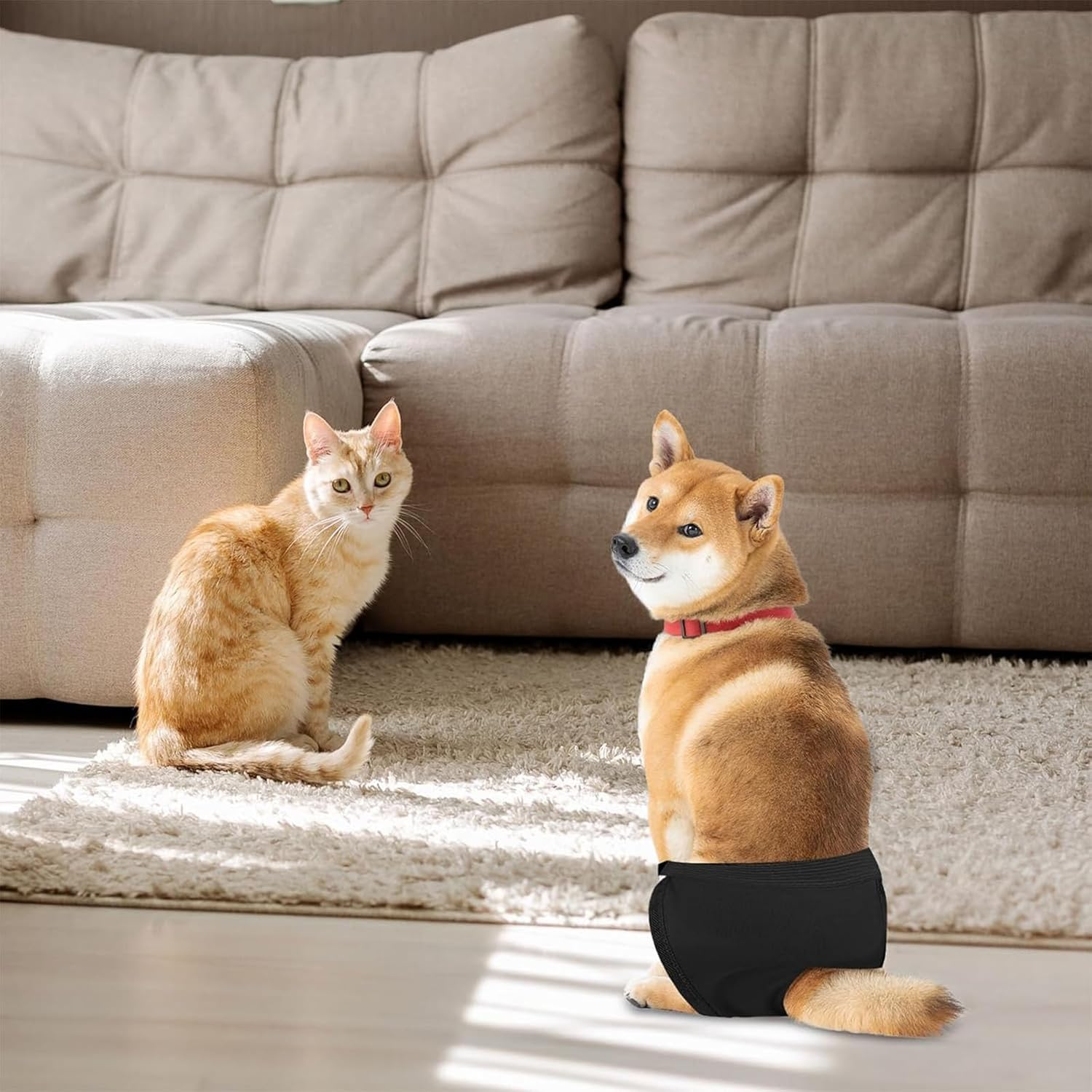 Heat Pants for Female Dogs, Protective Pants, Washable Heat Pants, Menstrual Pants for Female Dogs, Reusable Dog Nappies, Dog Trousers, Female Heat Trousers, Dog Nappies, Black image number 5