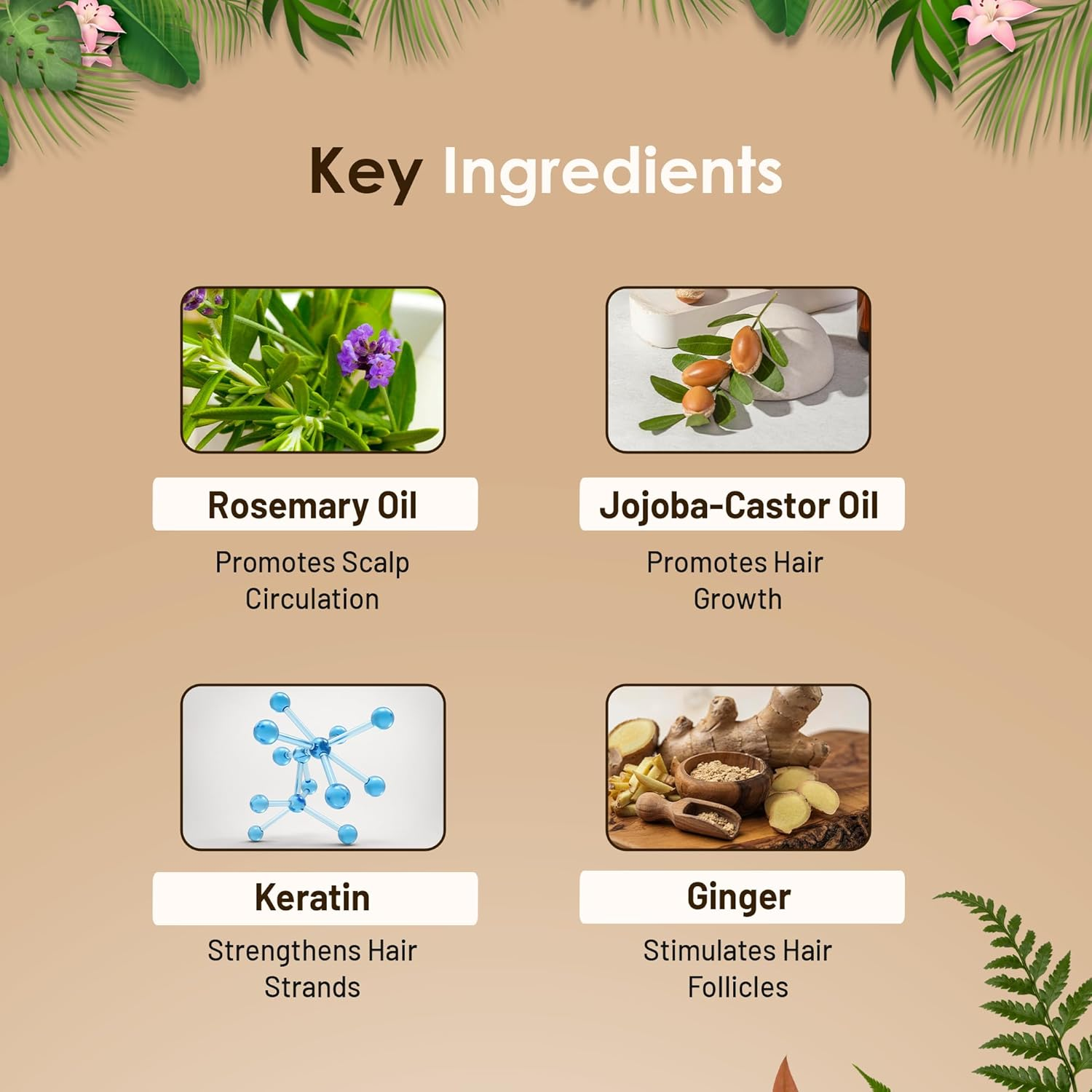 Herbishh anti Hair Loss Ginger Extract Thickening Shampoo & Hair Conditioner for Hair Fall Control & Hair Growth | Suitable for All Type Hair | Sulphates & Parabens Free