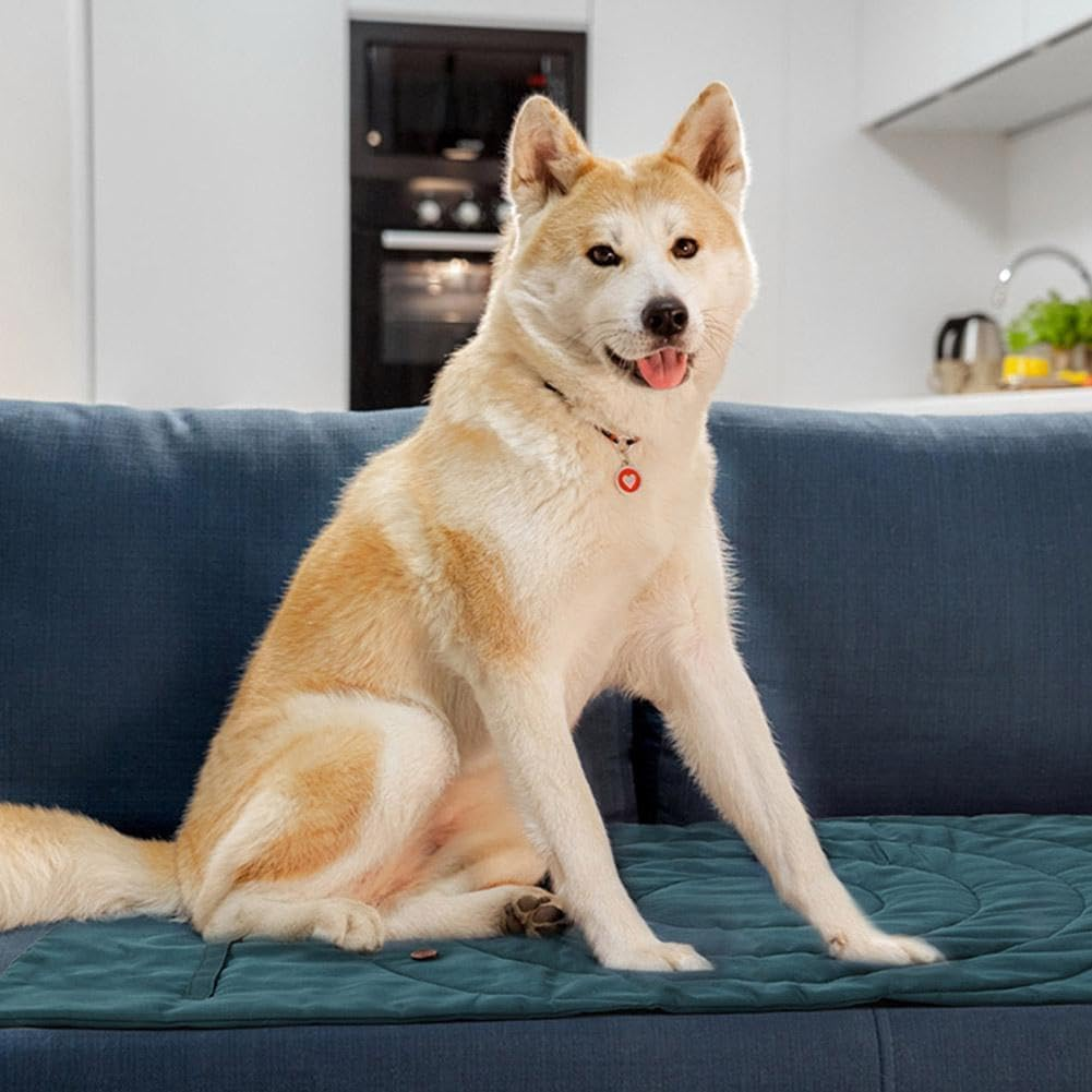 Portable Waterproof Dog Mat, Foldable Pet Bed for Indoor & Outdoor Use - Ideal for Travel, Camping, and Training, 39"X30" with Carry Bag - Durable, Washable, Lightweight image number 3