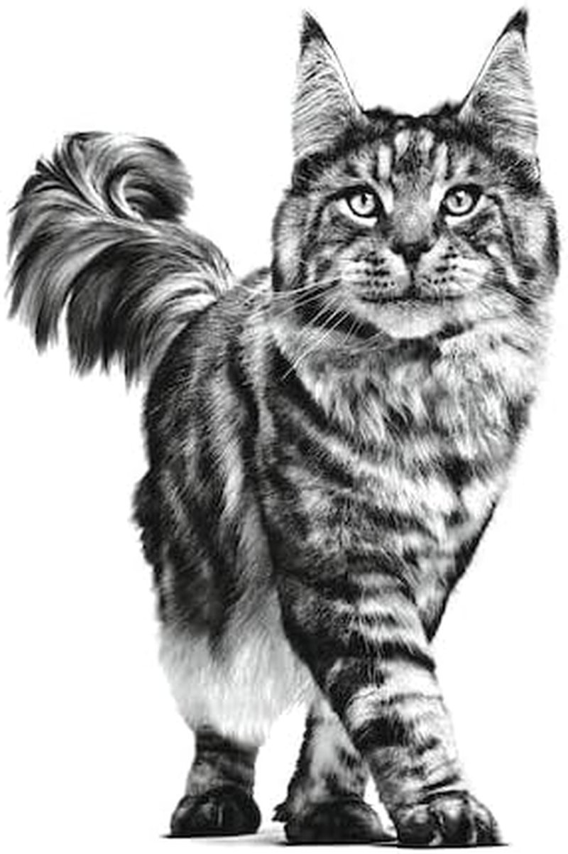 Royal Canin  Diet Renal Tuna Pouch 12X85G image number 1