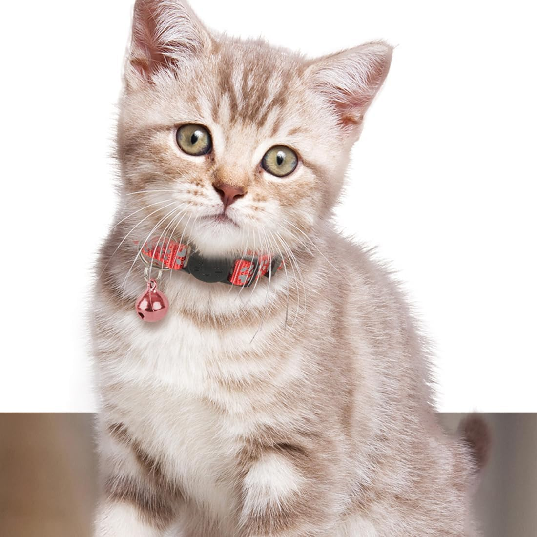 Weddhuis Pack of 2 Cat Collars with Safety Clasp and Bell, Adjustable Collar Cat Kitten image number 6