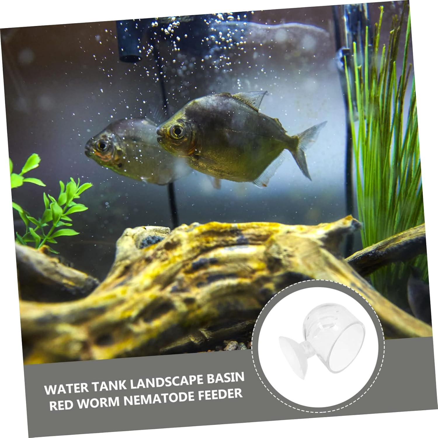 ORFOFE 4Pcs Acrylic Fish Food Feeders Red Worm Holders Fish Tank Feeding Supplies Blood Worm Dispenser for Aquarium Plants and Aquatic Pets image number 4