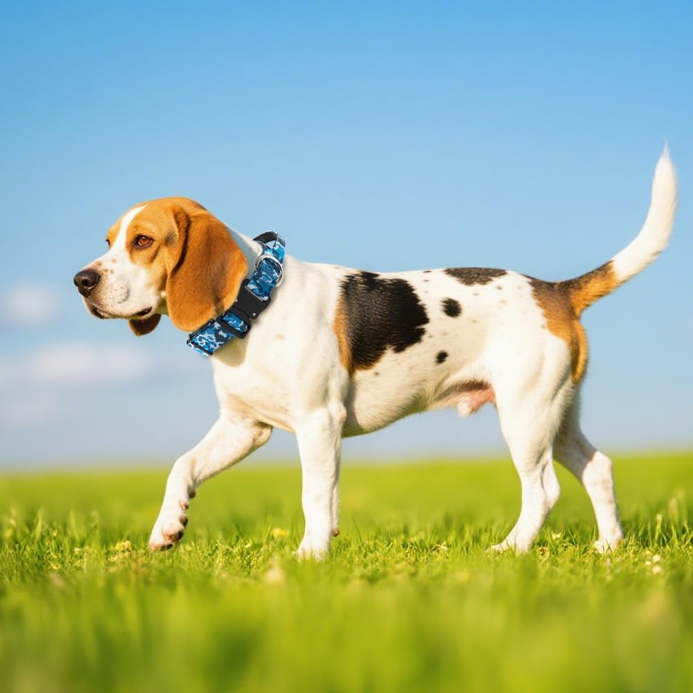 TSPRO Premium Dog Collars Tactical Dog Collar with Handle and Heavy Duty Quick-Release Metal Buckle Durable Thick and Adjustable for Medium to Large Dogs (Green M) image number 1