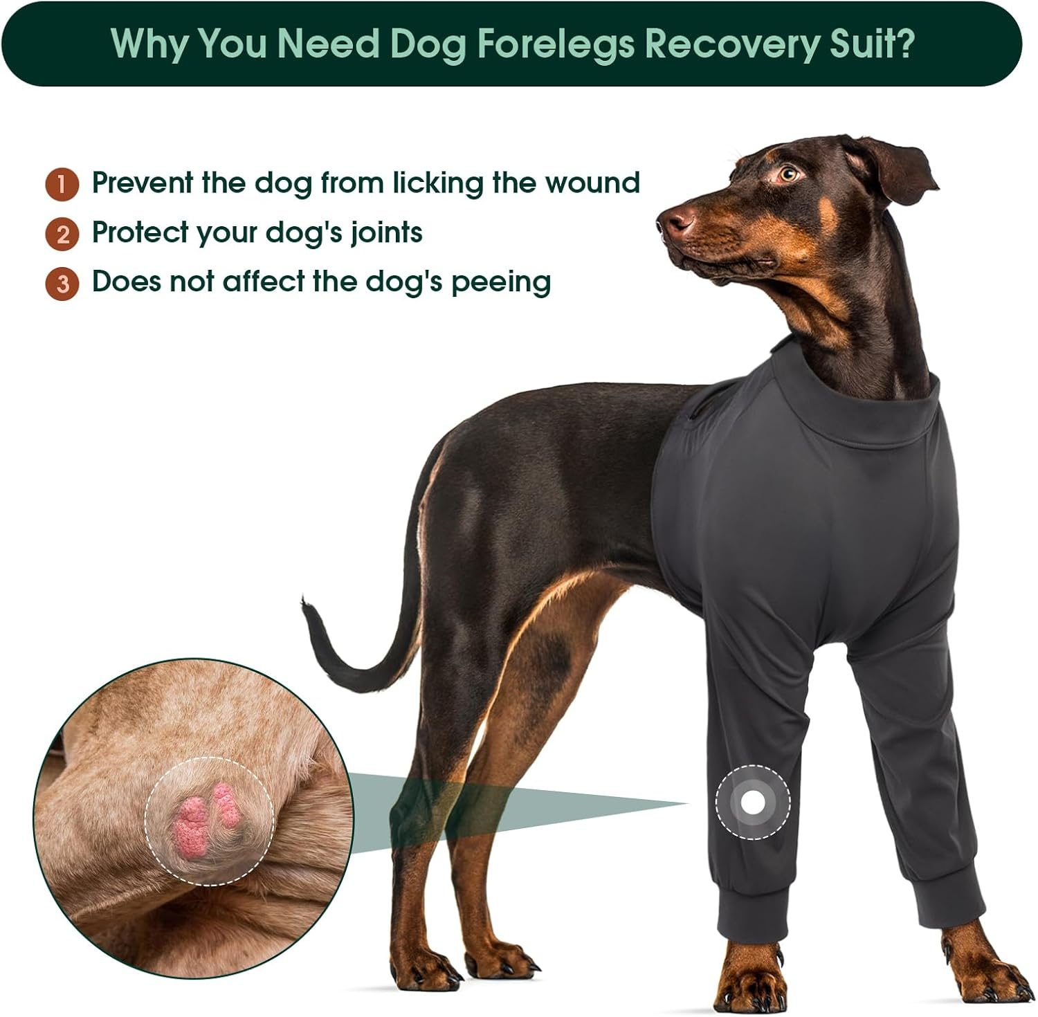 Kuoser Dog Bodysuit after Surgery image number 2