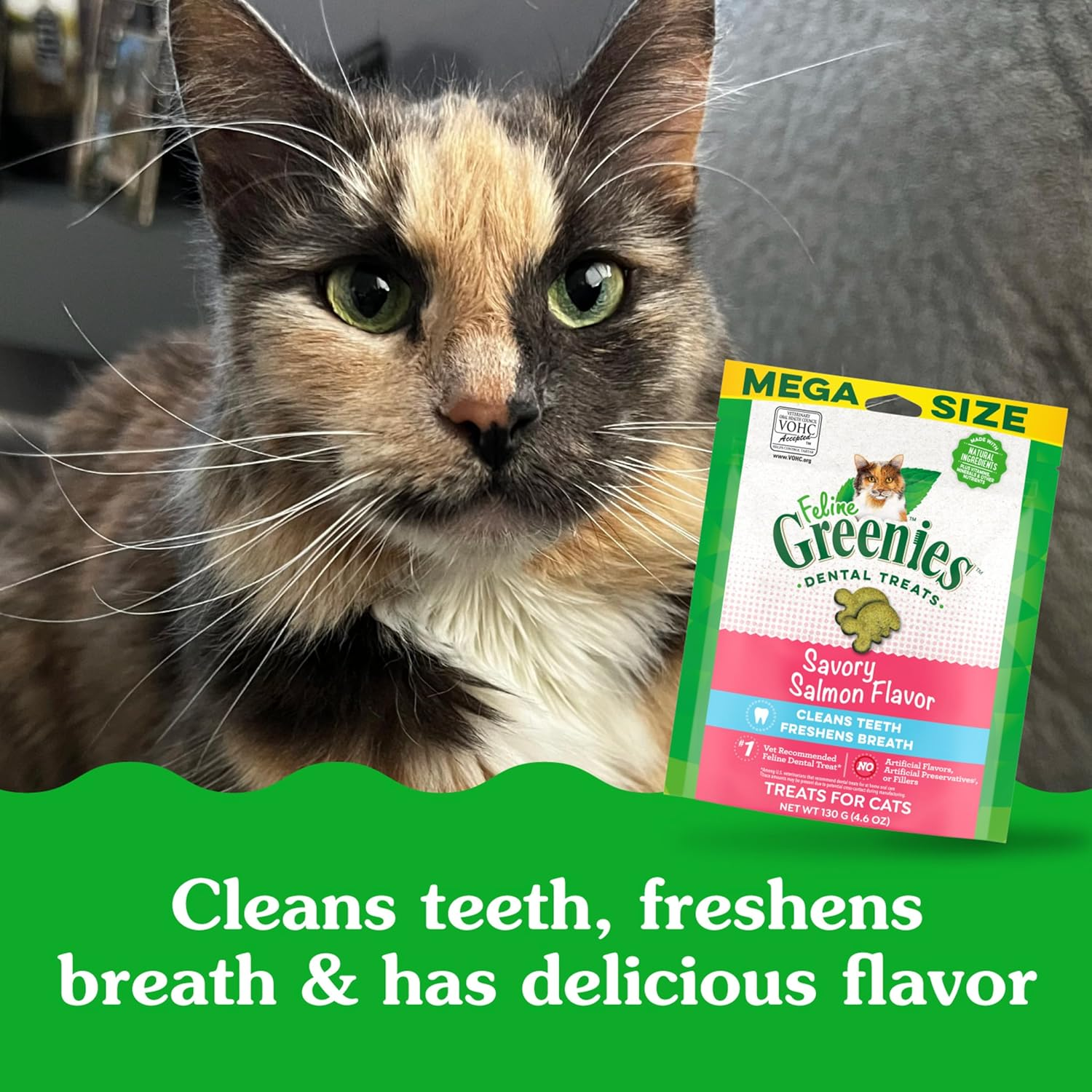 Greenies Savory Salmon Flavor Dental Feline Cat Treats, 130 G image number 5