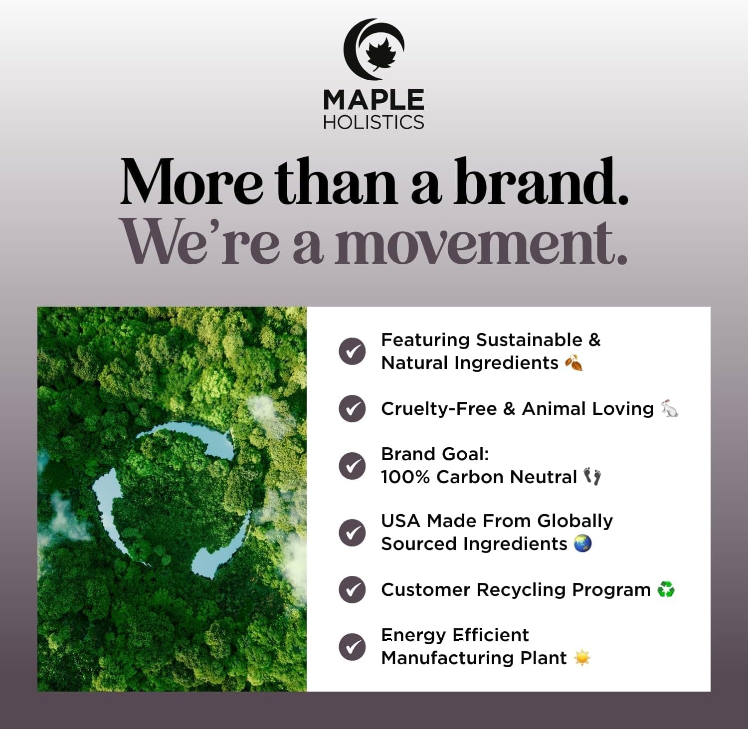 Maple Holistics Tea Tree Oil Shampoo - Pure and Natural for Women and Men - anti Dandruff Haircare - Safe for Color Treated Hair - Usa Made By image number 4