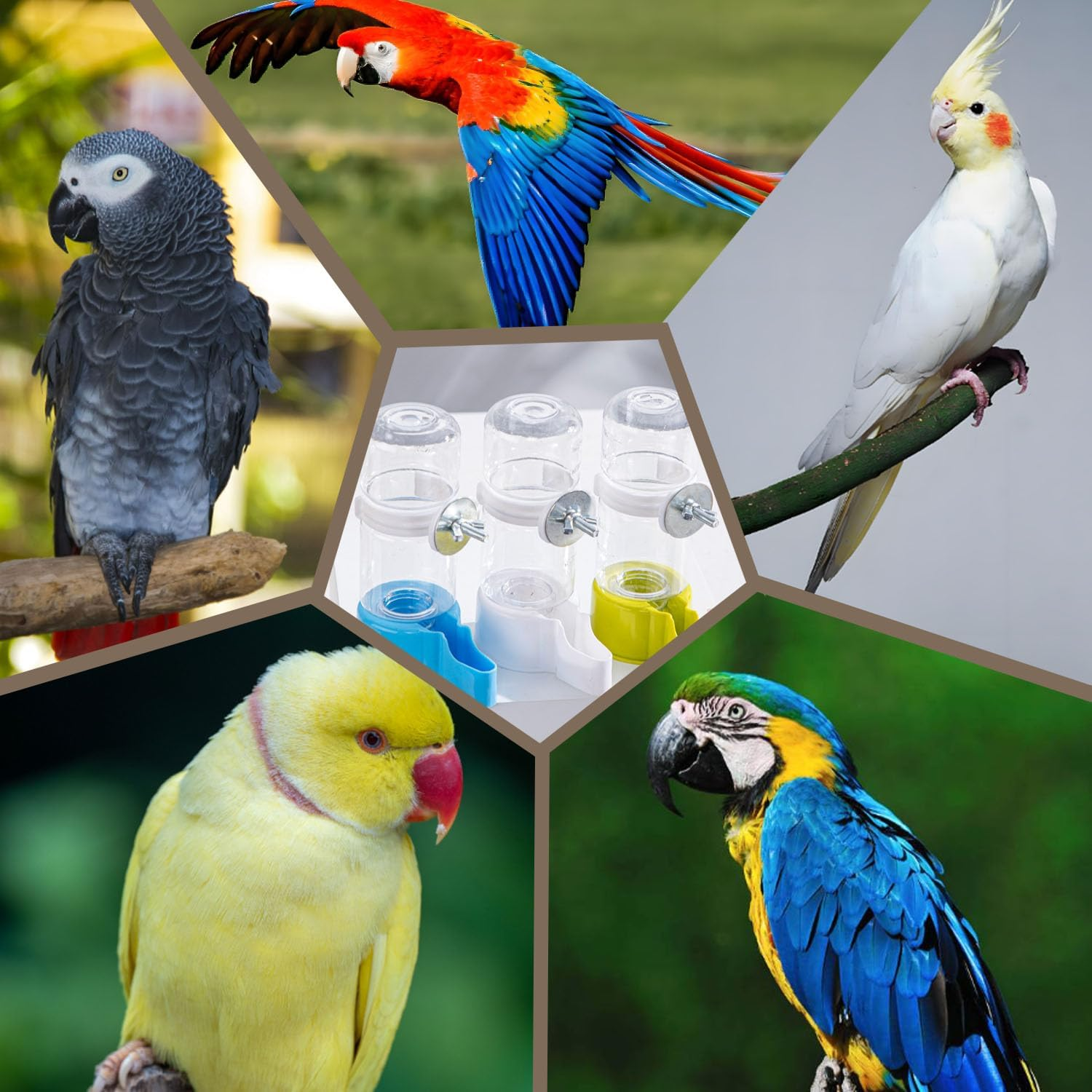 Automatic Bird Water Dispenser, Feeder, Parrot Feeder, Bird Cage Suspended Automatic Bird Feeder Water Bottle with Secure Cage Mount, Rabbit Watering System (Green) - Green image number 6