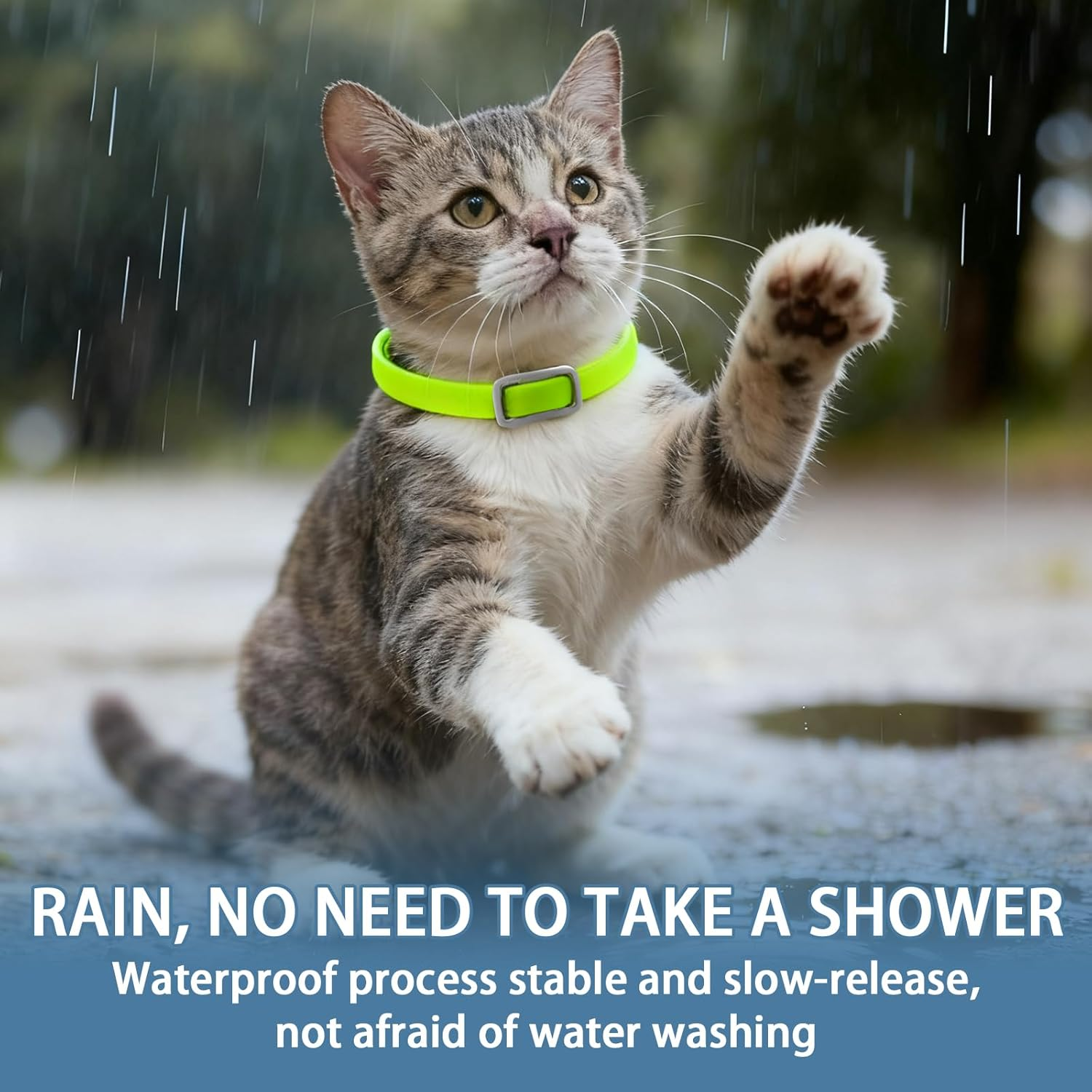 4Pcs Flea Treatment Collar for Cats, Effectively Prevent Flea and Tick Adjustable Silicone Suitable for All Cats, Waterproof and Safe image number 3