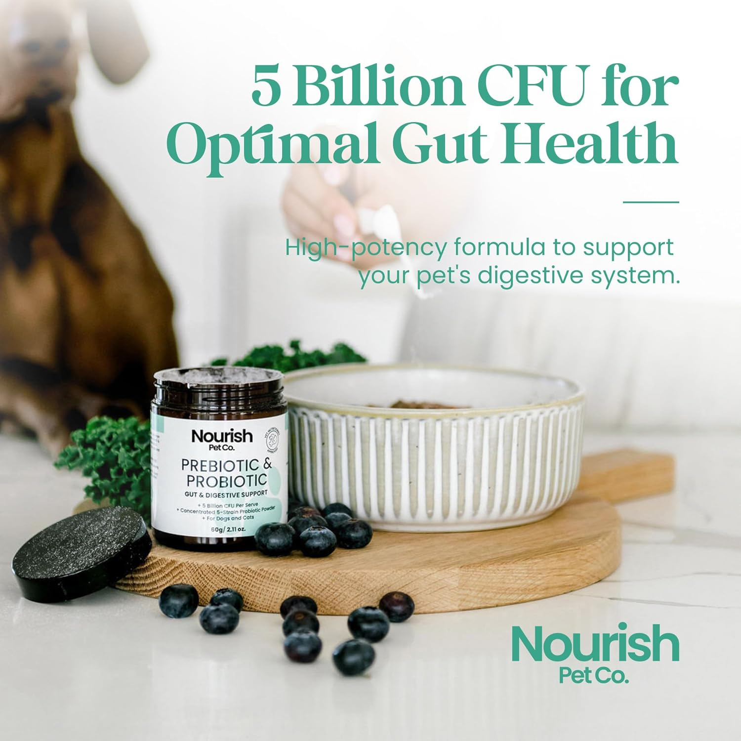 Nourish Pet Co. Gut Health Support for Pets - Prebiotics & Probiotics for Digestion & Immunity image number 3