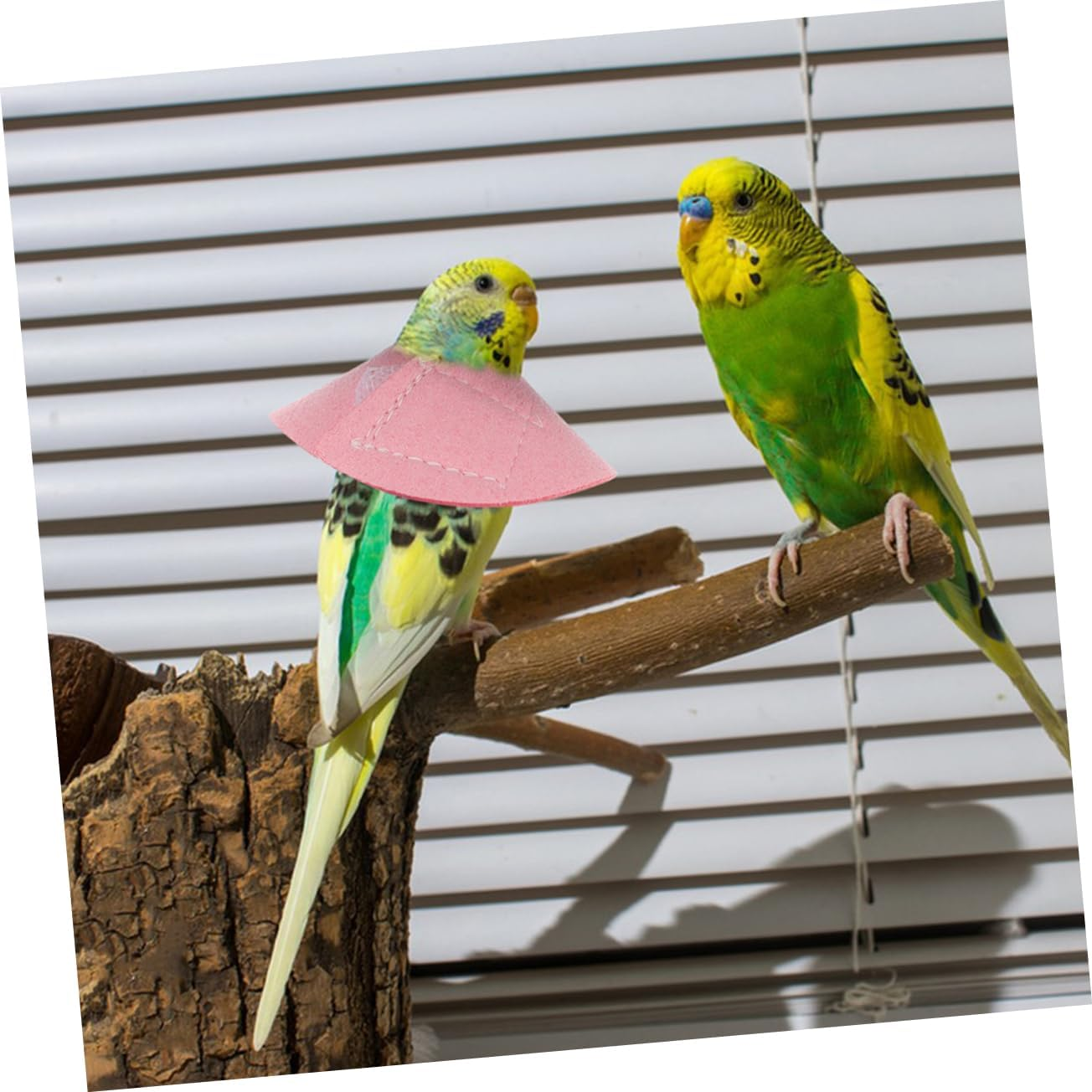 VILLFUL Bird Anti-Biting Collar Parrot Cone Neck Protector Soft Protective Collar for Plumage Damage Prevention Suitable for Parrots and Small Birds in Recovery image number 6