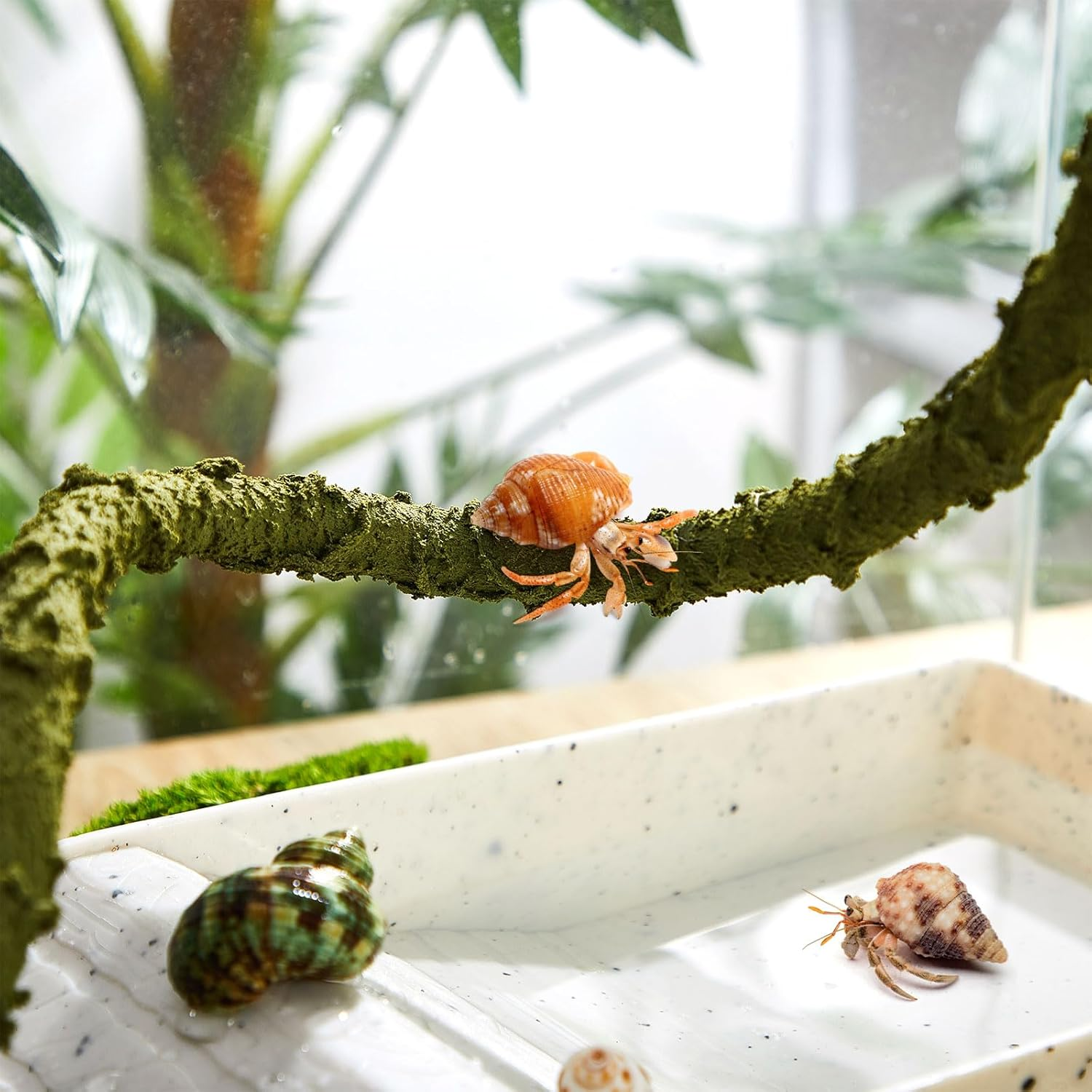 Poen Hermit Crab Climbing Toy - Bendable Reptile Vine - Artificial Jungle Vine - Hermit Crab Tank Accessories - Terrarium Habitat Decor image number 2