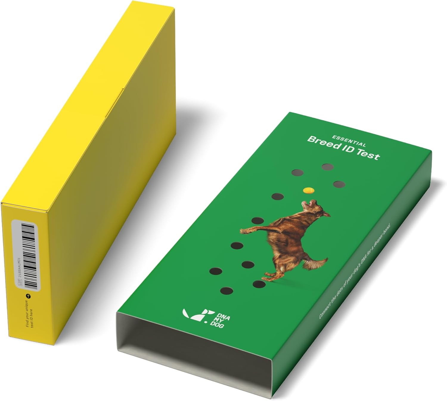 DNA MY Dog - Canine Breed Identification Test Kit - At-Home Cheek Swab Kit - Personality Traits by DNA My Dog image number 1