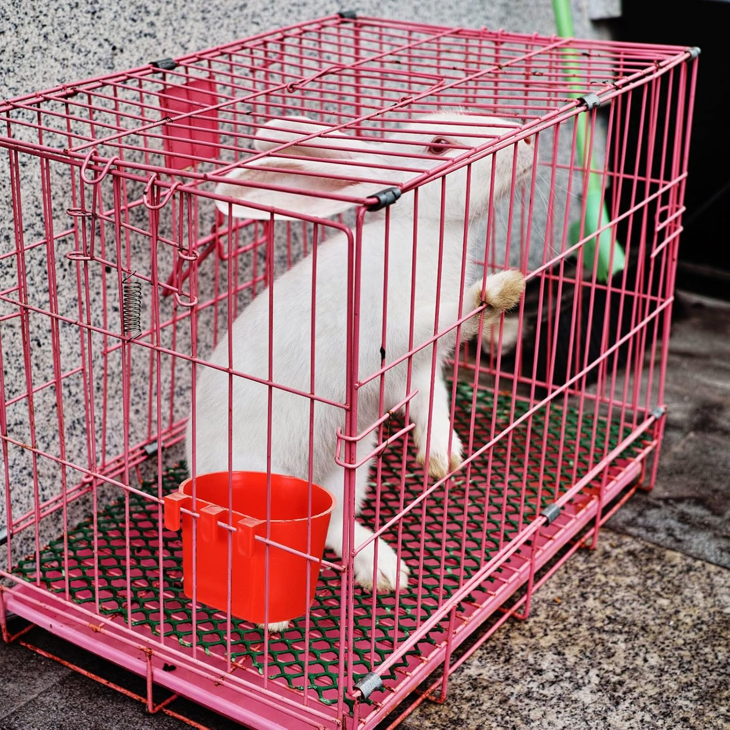 30 Pcs Cage Cups Birds Feeders Bird Water Dispenser Hanging Quail Waterer Plastic Chicken Feeding Watering Dish for Small Coop Parrot Parakeet PET Poultry Pigeon Gamefowl Food Seed Bowl Supplies, Red image number 1