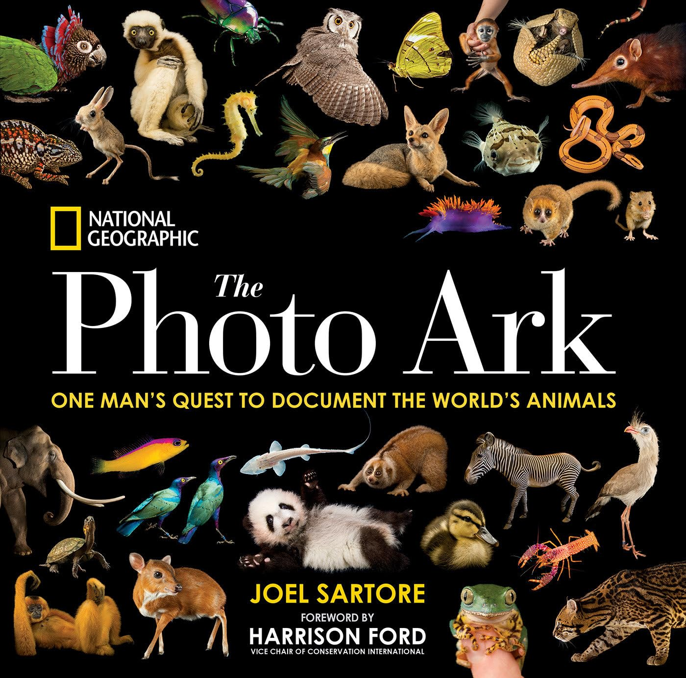 National Geographic the Photo Ark: One Man'S Quest to Document the World'S Animals image number 6