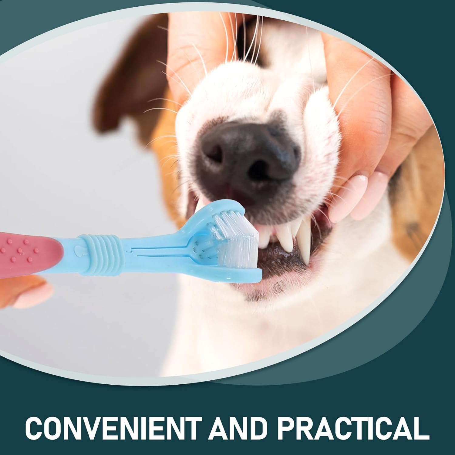 Triple Head Pet Toothbrushes, 5Pcs Triple Heads Dog Toothbrushes Triple Heads Pet Toothbrush,Triple Head Pet Toothbrushes image number 4