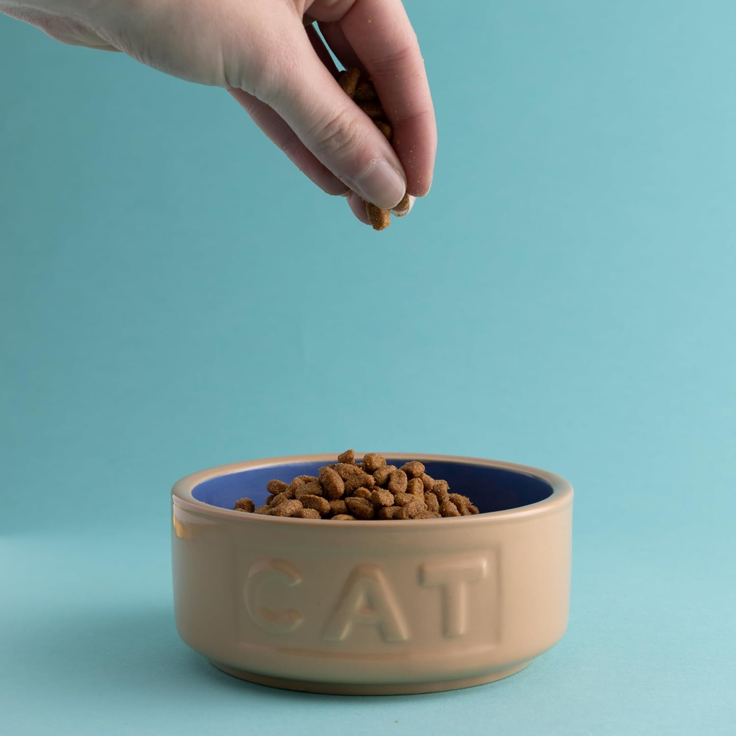 Mason Cash Lettered Cat Bowl Mason Cash Cane, 5 Inch image number 3