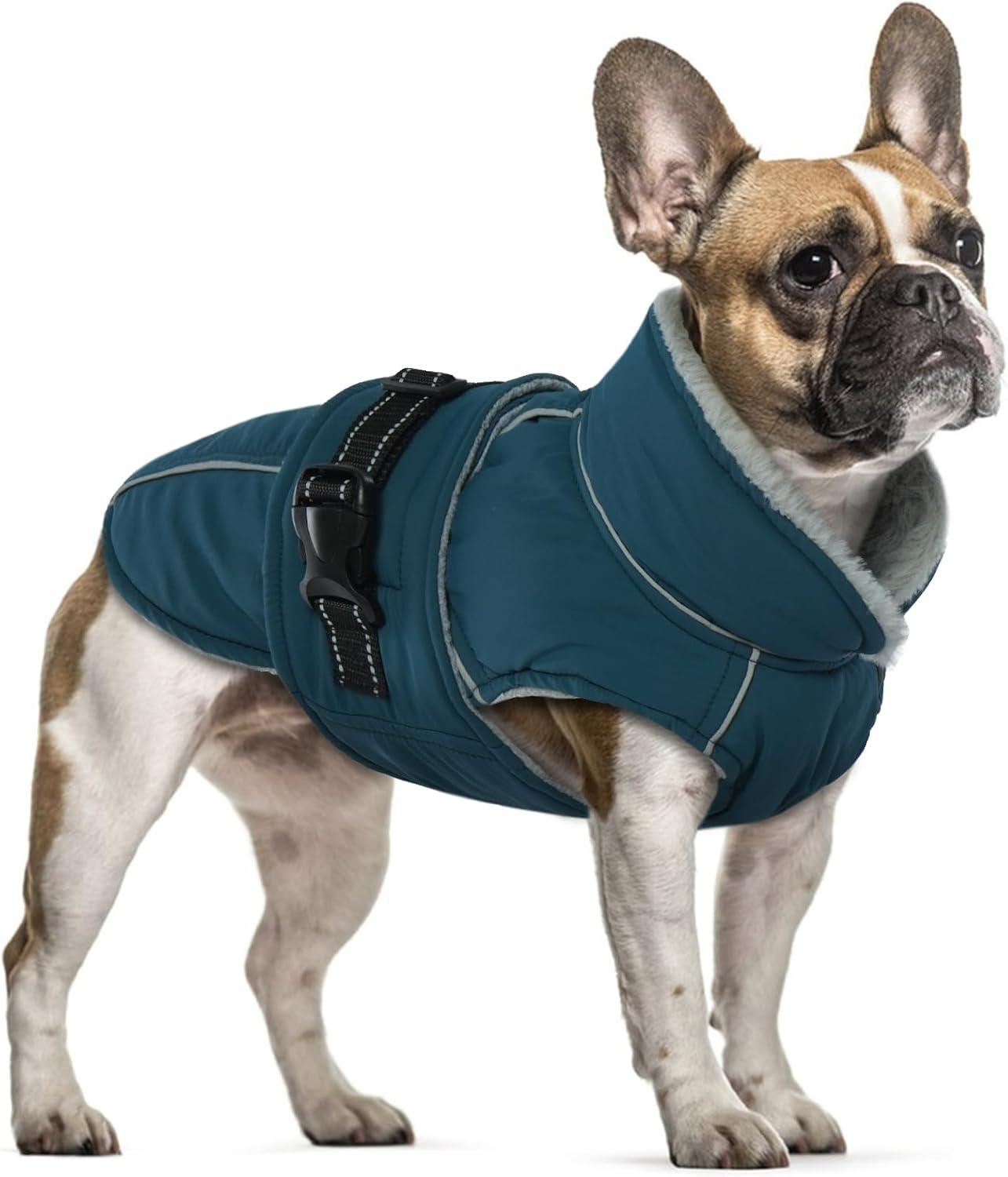 Fleece Winter Coat for Dogs, Dog Coat, Waterproof Dog Jacket, French Bulldog, Warm Vest, Adjustable Dog Clothing, Winter for Small Dogs (Red, 3XL)