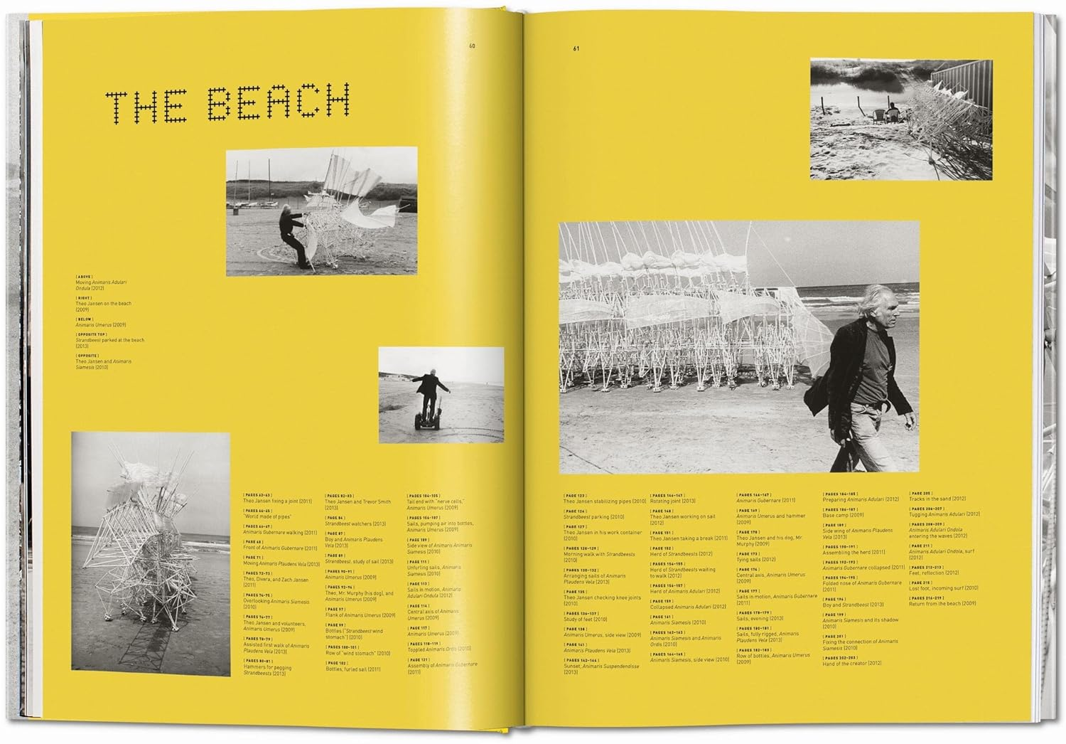 Lena Herzog. Strandbeest. the Dream Machines of Theo Jansen image number 4