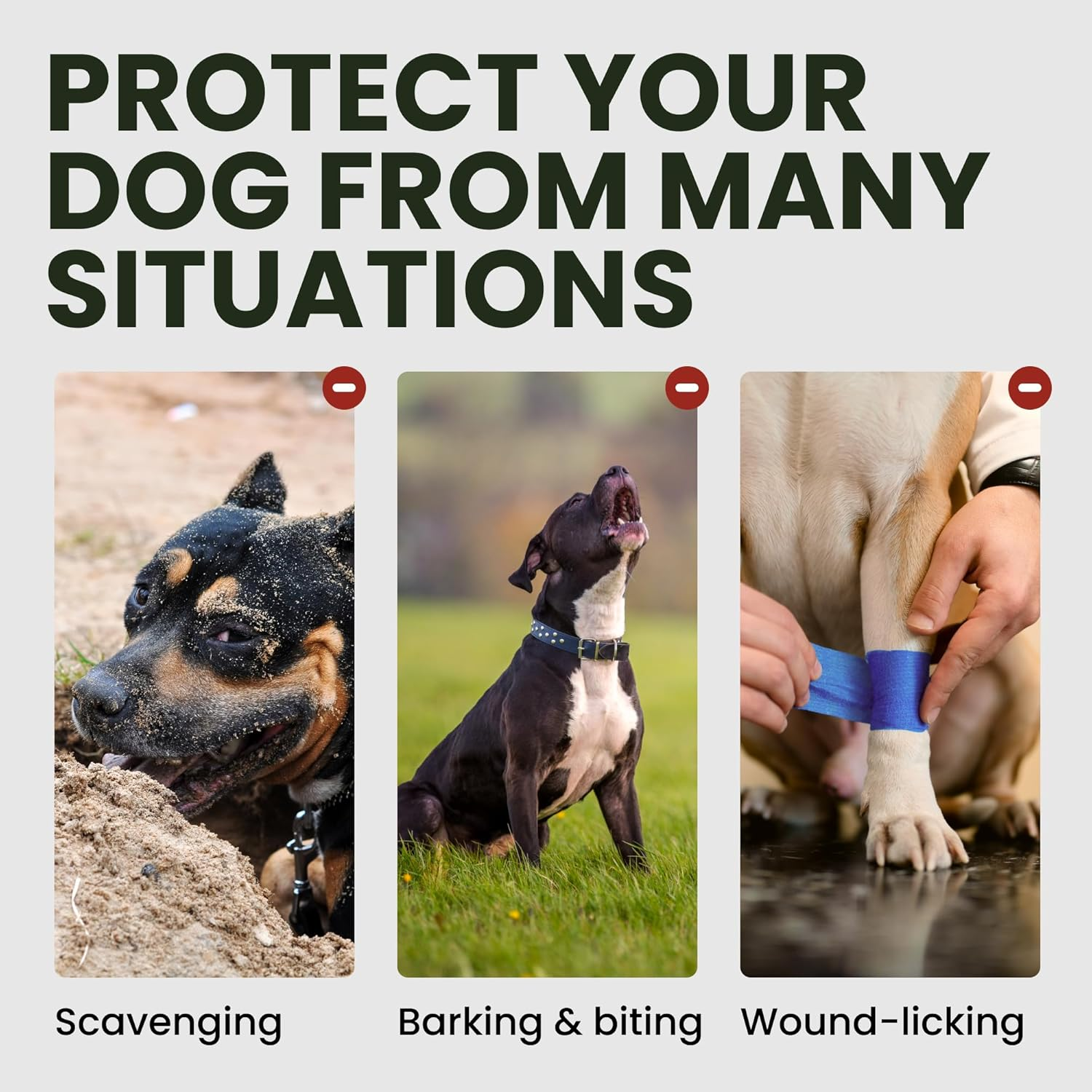 Bronzedog Wire Basket Dog Muzzle Jack Russell Terrier Metal Leather Adjustable Puppy Small (2XS)