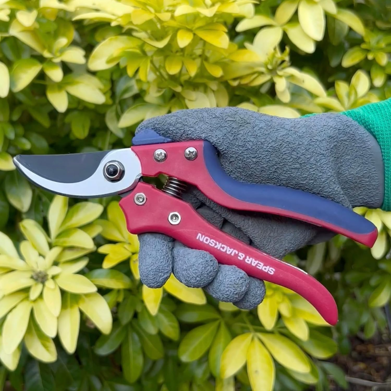 Spear & Jackson 7159BS Razorsharp Advantage Bypass Secateurs, Multicoloured image number 2