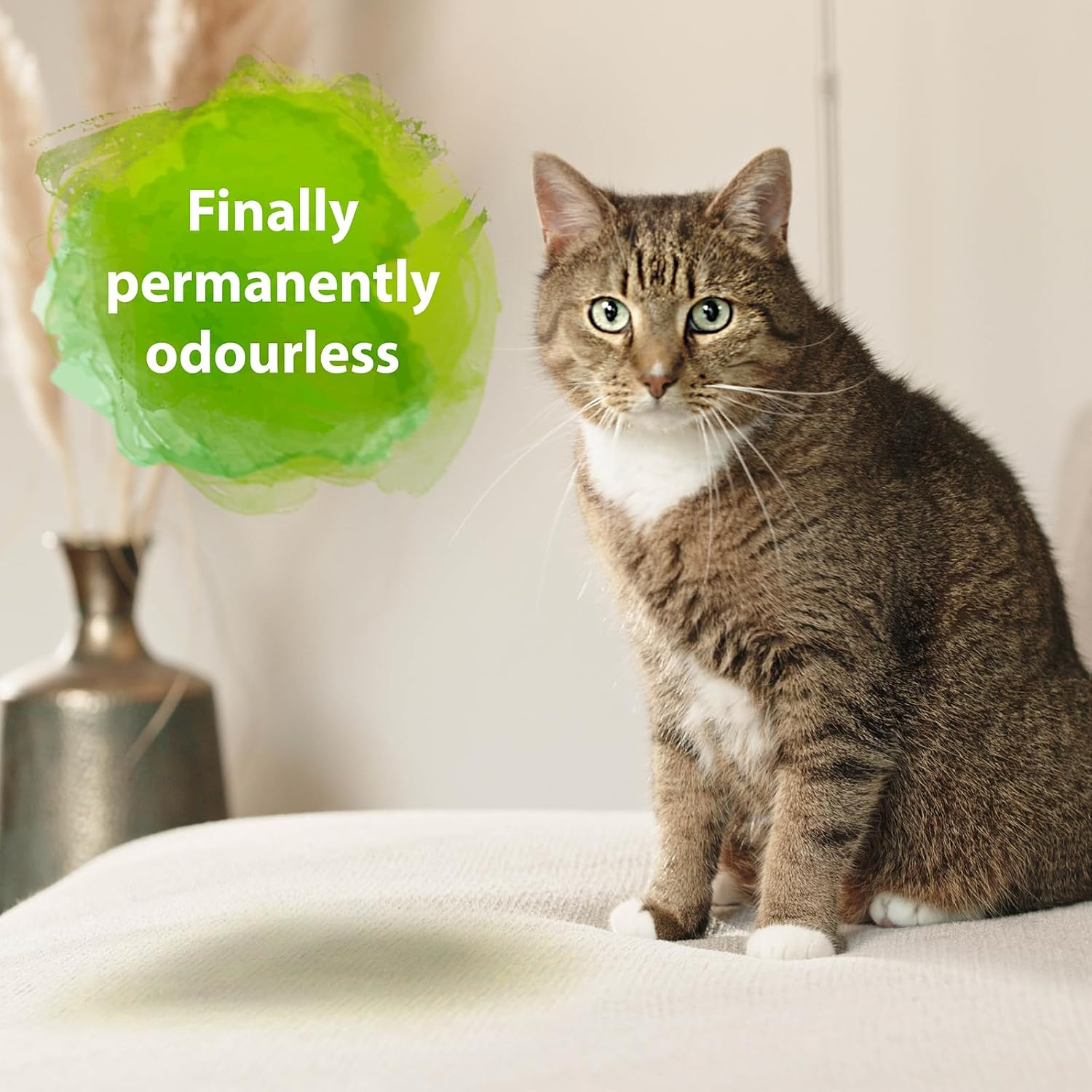 Bactador Cat Litter Odour Remover Spray 500Ml - Biological Enzyme Cleaner as a Ready-To-Use Solution against Cat Urine, Animal Odors, Sweat - for Household & Animal Environment image number 1