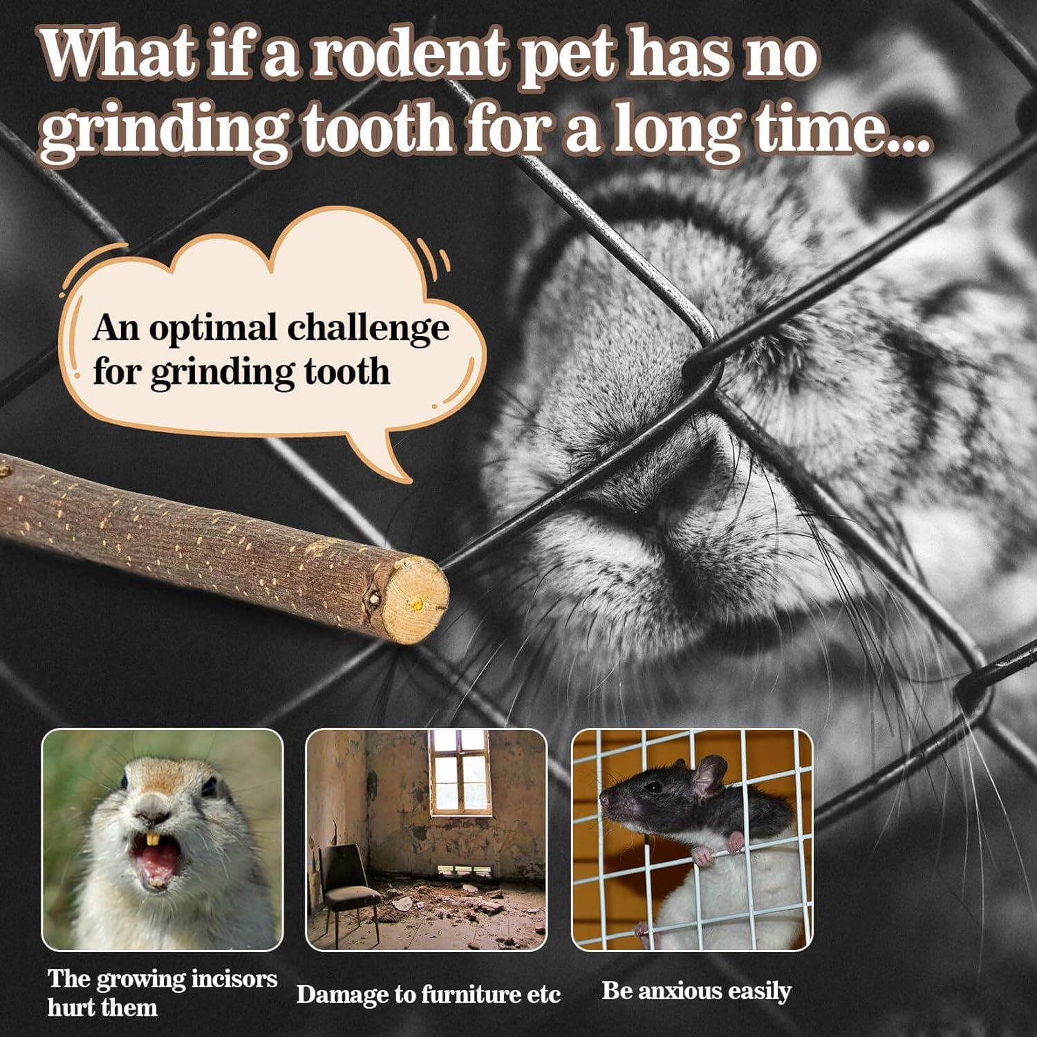 Sukh Apple Sticks - Pet Chew Toys for Rabbits Chinchilla Guinea Pigs image number 4