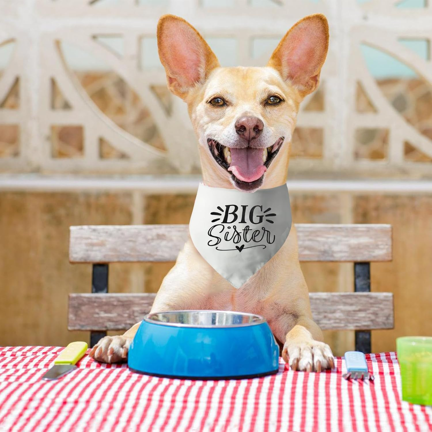 Bekecidi 2 PCS Dog Bandana, White Triangle Scarf Bandanas Pregnancy Announcement Bandana for Dogs Large Pet Scarf with Baby Security Big Sister Printed Pet Costume Accessories for Dogs Gifts image number 1