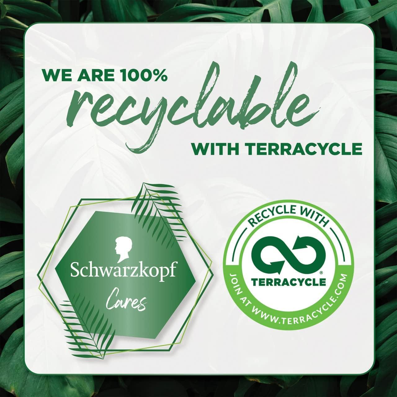 Taft Styling Hairspray 200G