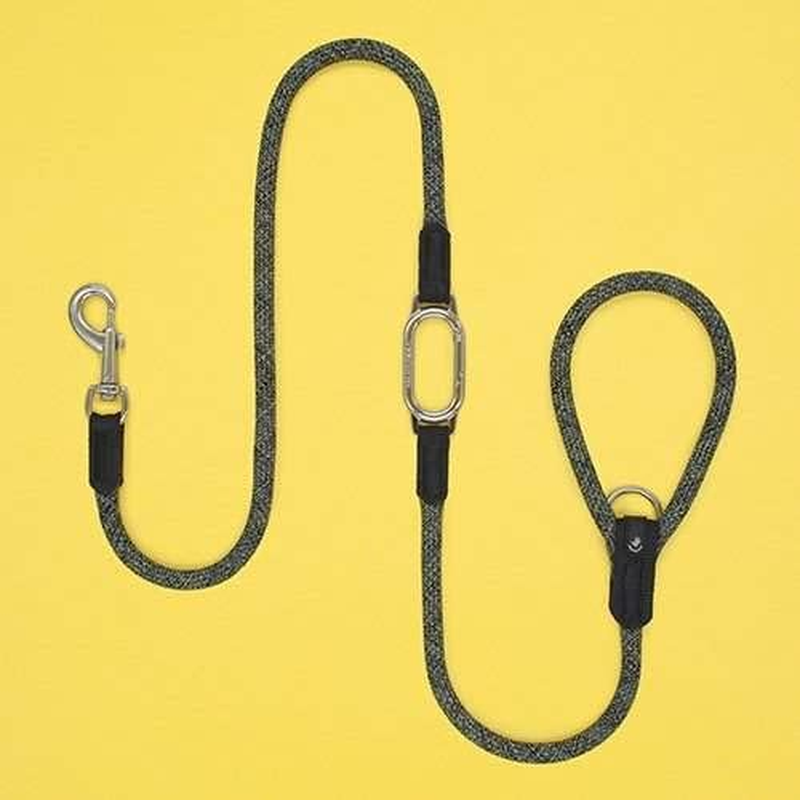 High Five Dogs (High 5 Dogs) Carabiner with Multi-Function Lead [CLIC Leash (Click Read)] Orange 140Cm &times; 13Mm image number 5
