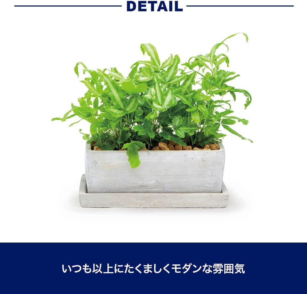 Dulton A555-426SPL Solid Planner Rectangular Plain, Small, Solid Planter, Gardening Supplies, image number 3