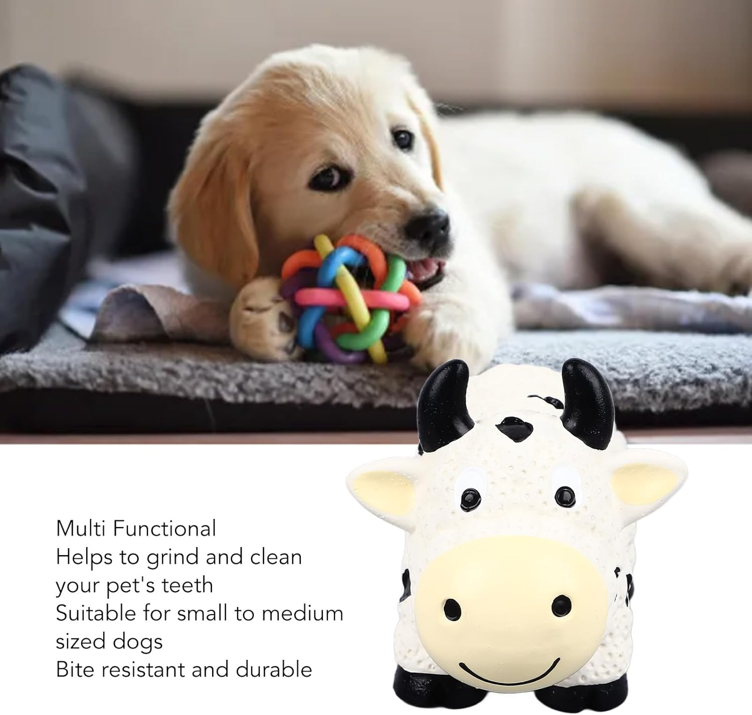 Latex Dog Chewing Toy, Squeaky Puppy Chew Toy, Interactive Teeth Cleaning Safe Bite Resistant Latex Dog Toy, Unique Shape Interactive Puppy Toy for Indoor (Cow) image number 2