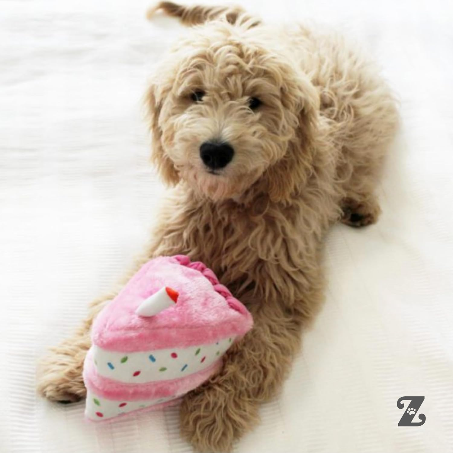 Zippypaws ZP861 Birthday Cake Blue 17.5 X 15Cm, One Size image number 3