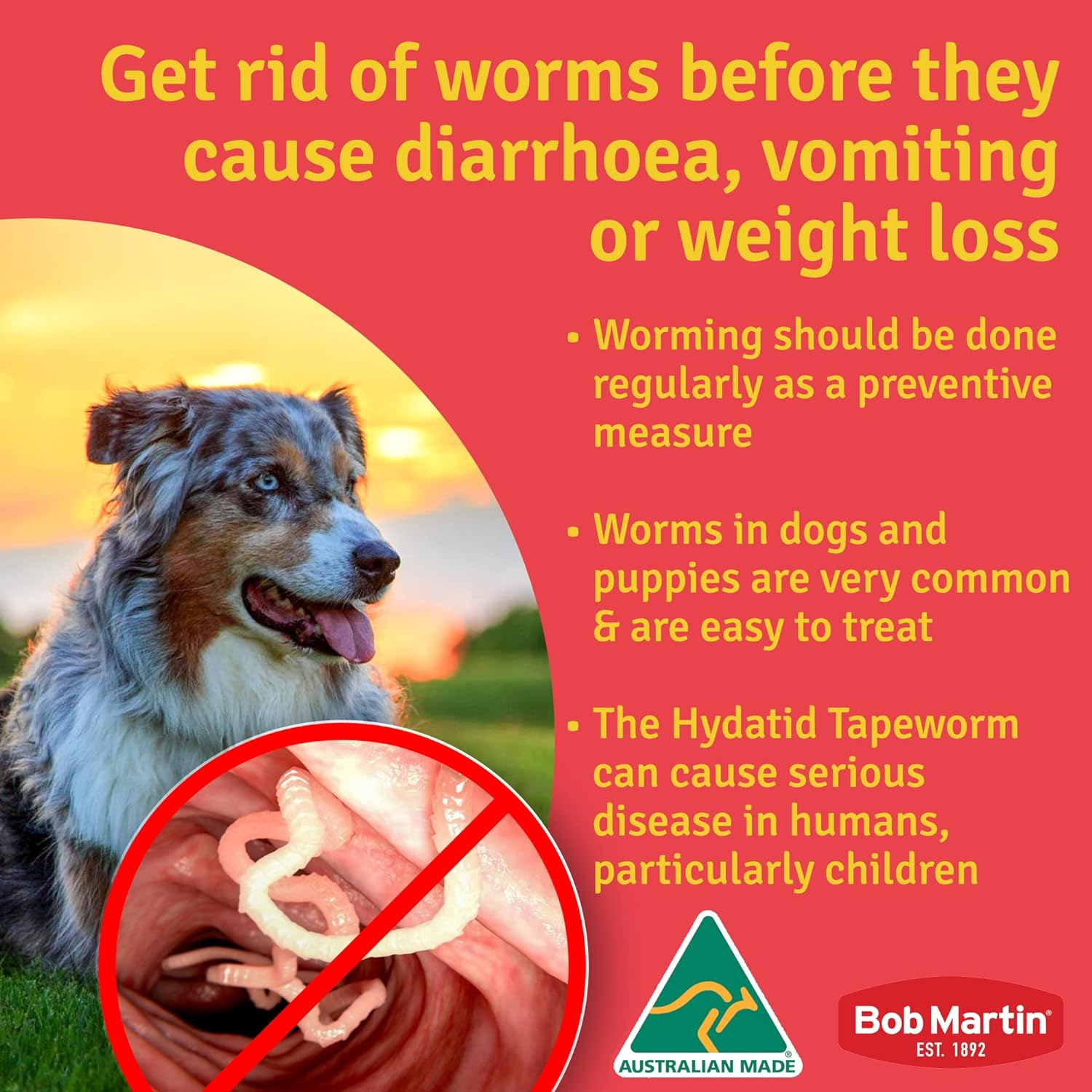 Bob Martin Worming Tablets for Dogs - Worming Treatment for Medium & Large Dogs. Kills 5 Most Common Worms in 1 Dose. 4 Chewable Liver Flavored Tablets 40G image number 6