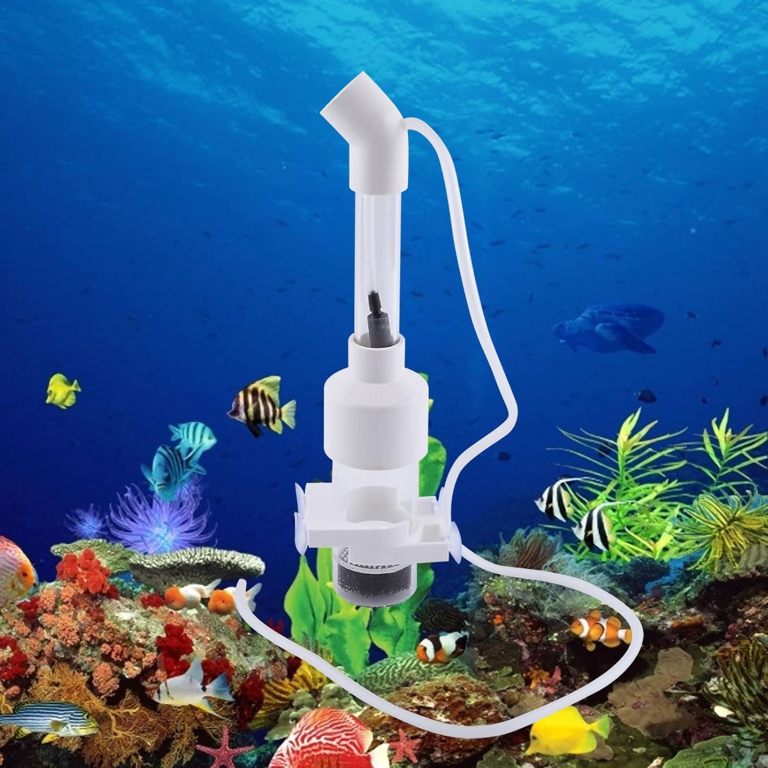 Aumotop Fish Hatchery Incubator Acrylic Aquarium Cichlids Egg Tumbler Nursery Mouth-Brooding Aquatic Pet Hatching Breeder Fish Tank Tool image number 5