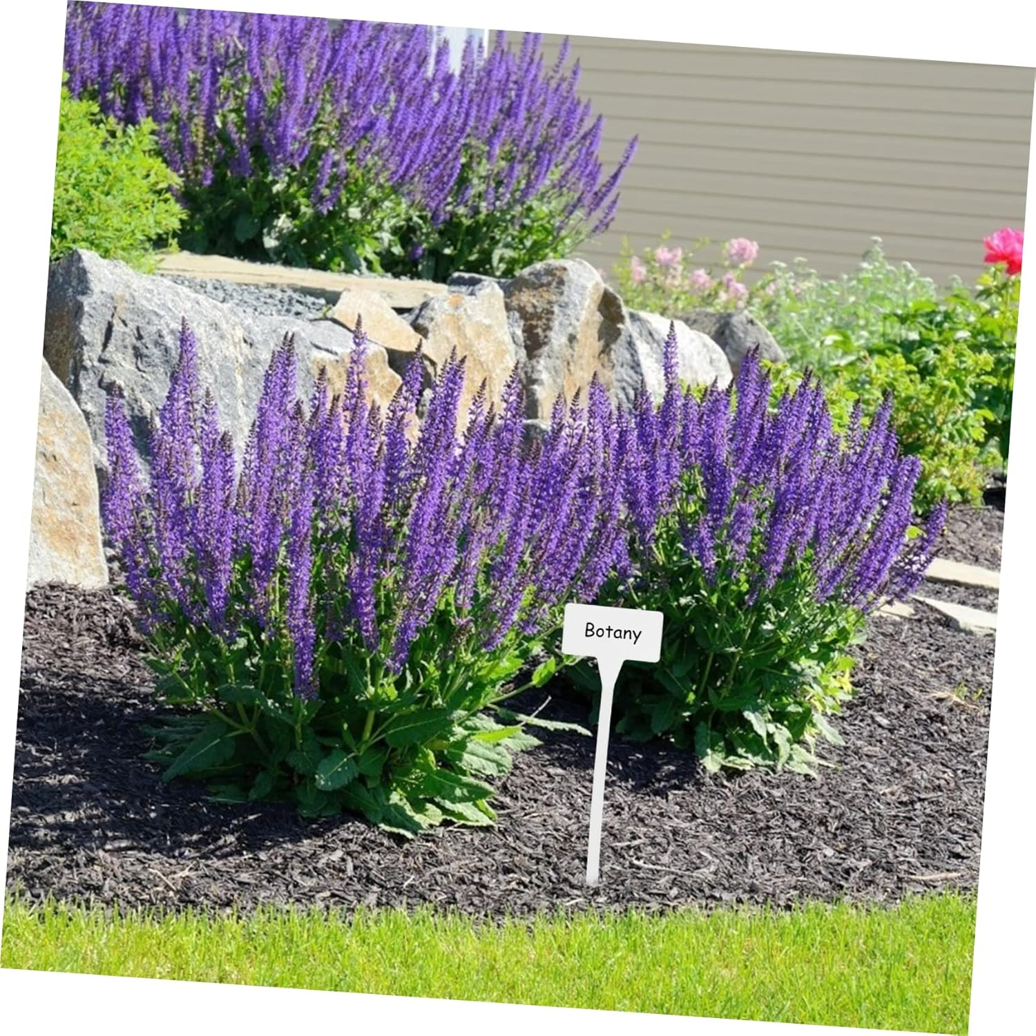 Gogogmee 10Pcs Plant Labels Nursery Garden Tags Markers Garden Insert Tag Re-Usable Plant Labels for Outdoor Product And image number 3