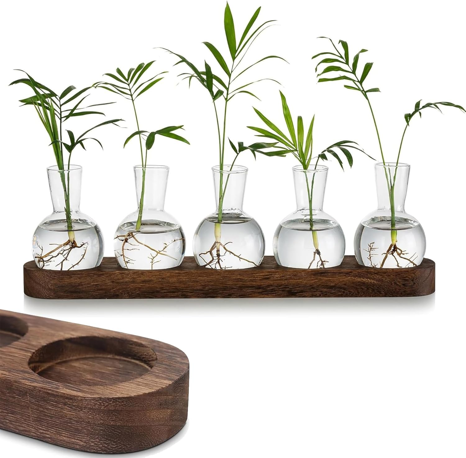 FUNNTY Desktop Plant Propagation,With Wooden Stand Glass Vase Hydroponic Planter Gifts Plant Terrarium for Plant Lovers Indoor Home Garden Office Decoration (5 Glass Vase &1 Tray Display) image number 4