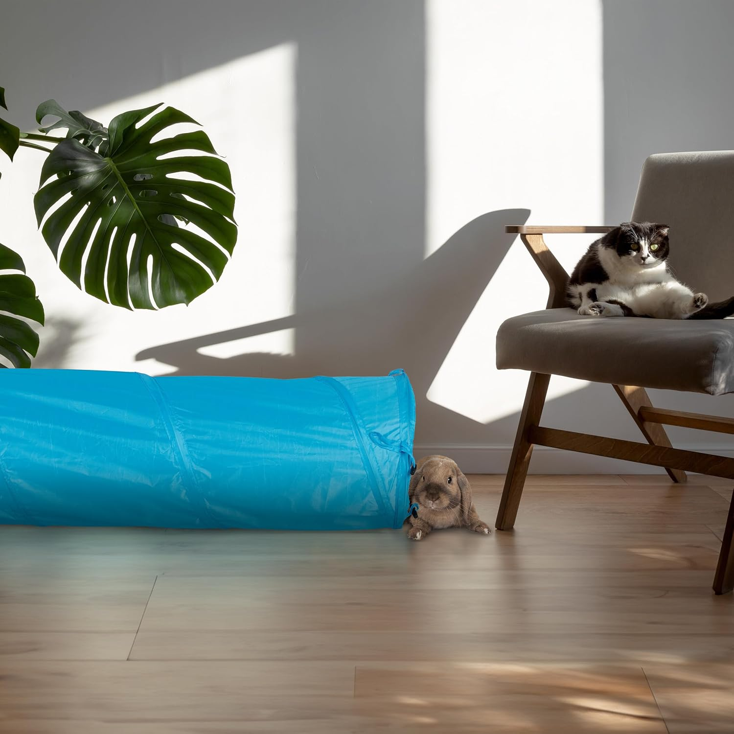 Relaxdays Cat Tunnel Foldable Cat Tube with Toy, Interactive Cat Play Tunnel, W X D: Approx. 88 X 25 Cm, Blue