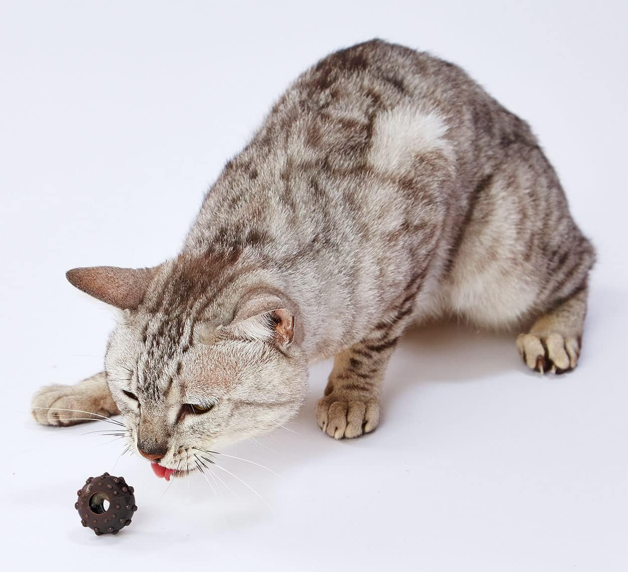 Petio Ethical Door Cat Toy Natural Earth Toy with Rubber Ball and Rope Set image number 4