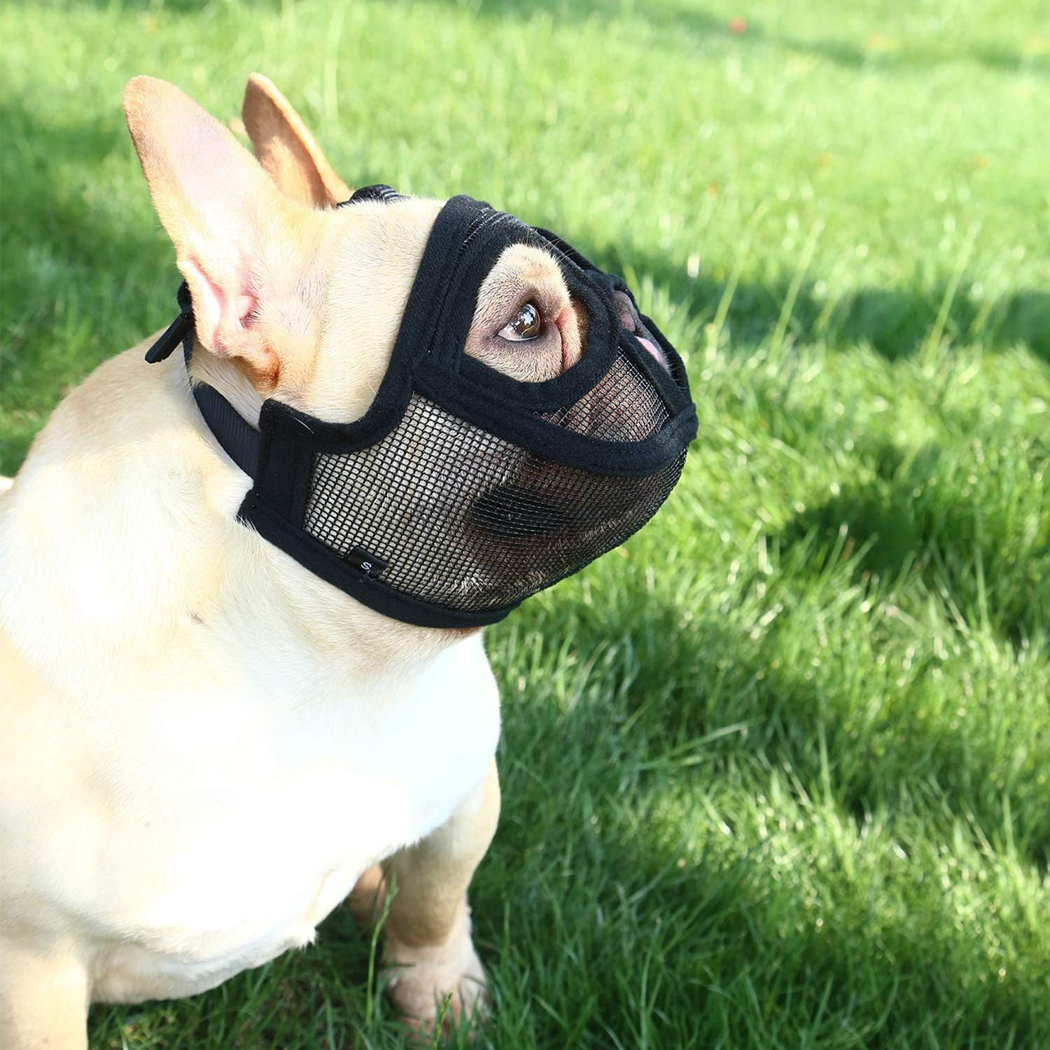 Muzzles Dog Basket Muzzle Short Snout Muzzle Bulldog Pug Basket Muzzle Adjustable Dog Mouth Cover PVC Breathable Cover Dog Mask Prevents Biting Barking image number 4