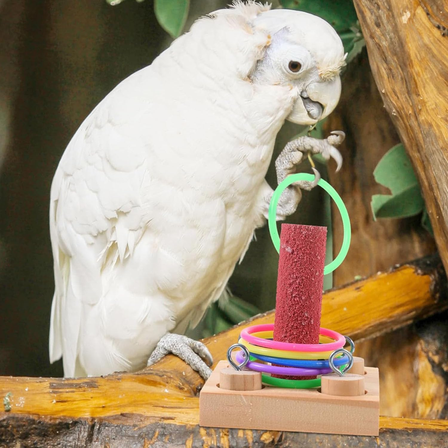 1 Set Parrot Educational Toy, Bird Intelligence Training Toy, Wooden Bird Toys Interactive Puzzle, Parrot Training Toy for Parrots Beak Grinding Chew Toy Pet Education Tabletop Toy (1 Pillars-5 Loops) image number 5