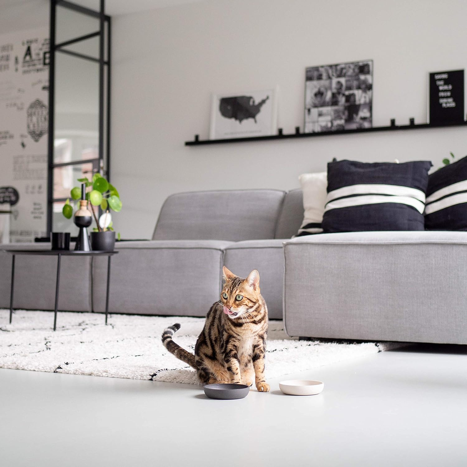 District 70 Bamboo Cat Bowl Merengue - Merengue image number 2