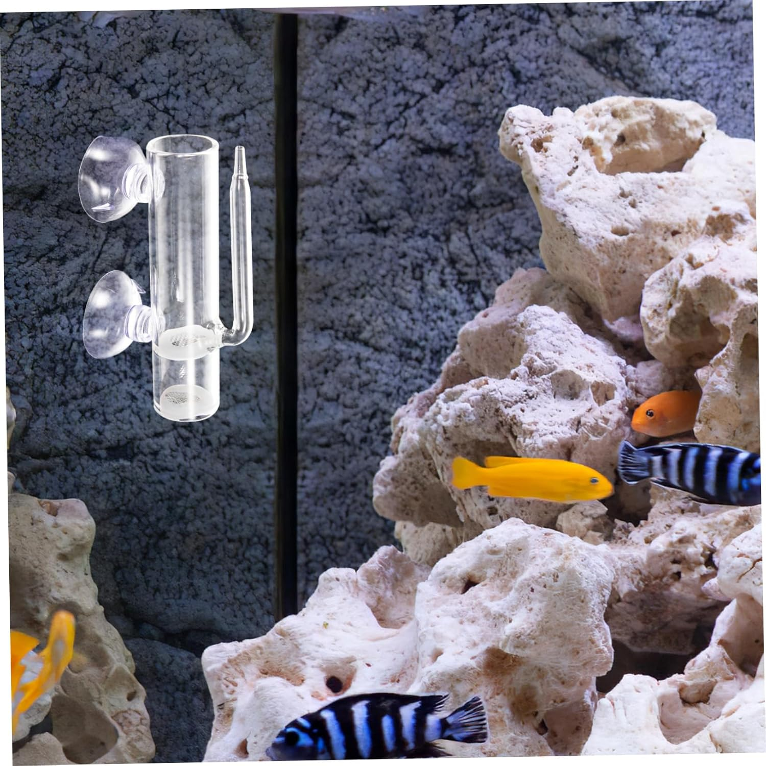 UPKOCH Glass Shrimp Hatchery Breeding Box with Airflow Filter, Aquarium Isolation Case for Brine Shrimp Eggs and Fish Fry Nursery, Glass Breeder Tank for Aquatic Pets image number 2