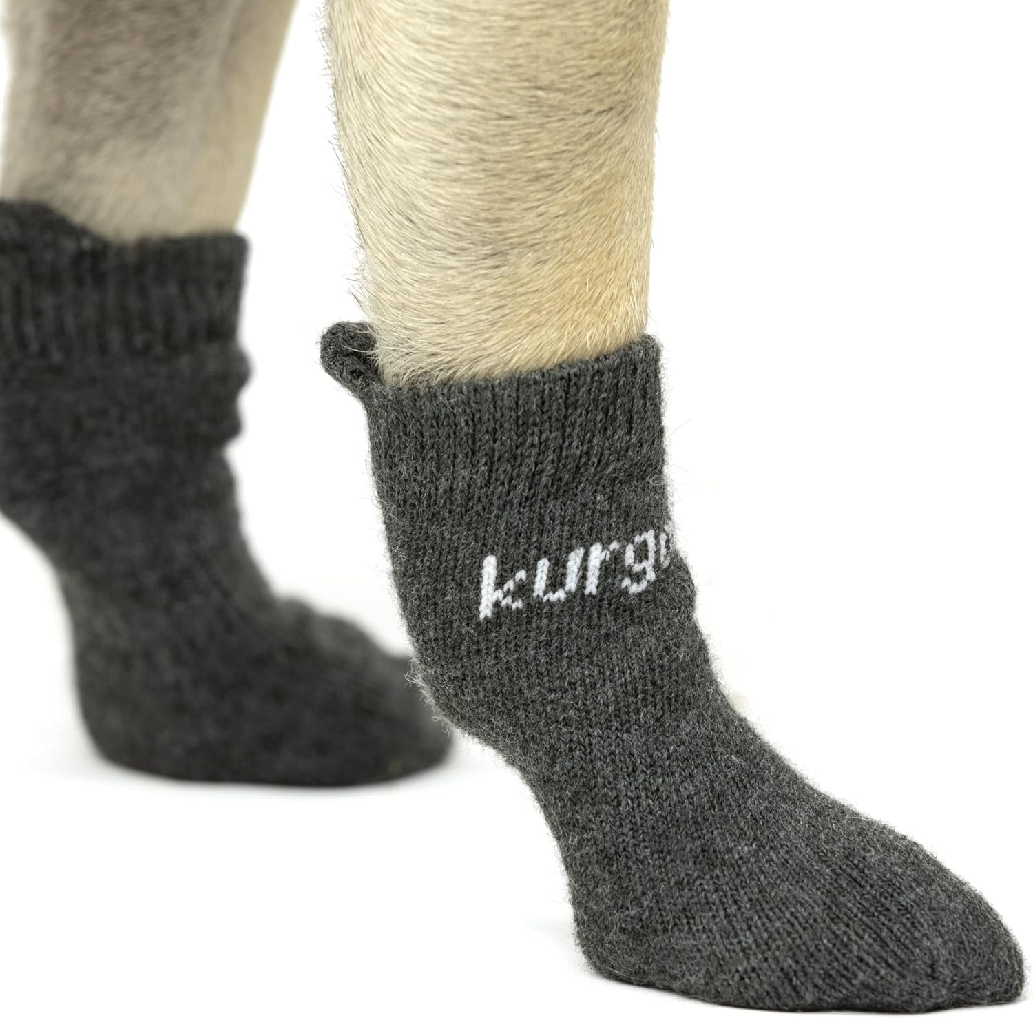 Kurgo Blaze Dog Socks - Stretch Socks for Dog Shoes - Makes Putting on Dog Shoes Easier - Pet Socks for Outdoors - Heel Tab, Fast Drying Fabric, Secure Fit - Large image number 3