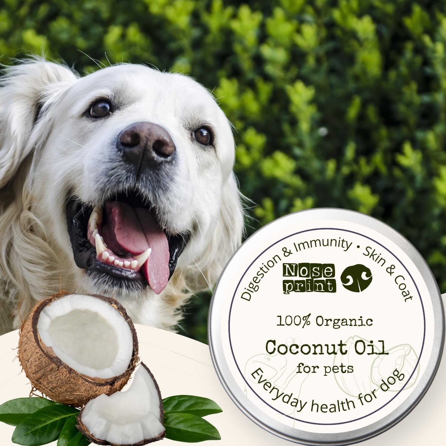 100% Organic Coconut Oil for Dogs Immunity Booster, Itchy Skin Relief, Digestive Support & Paw Balm image number 3